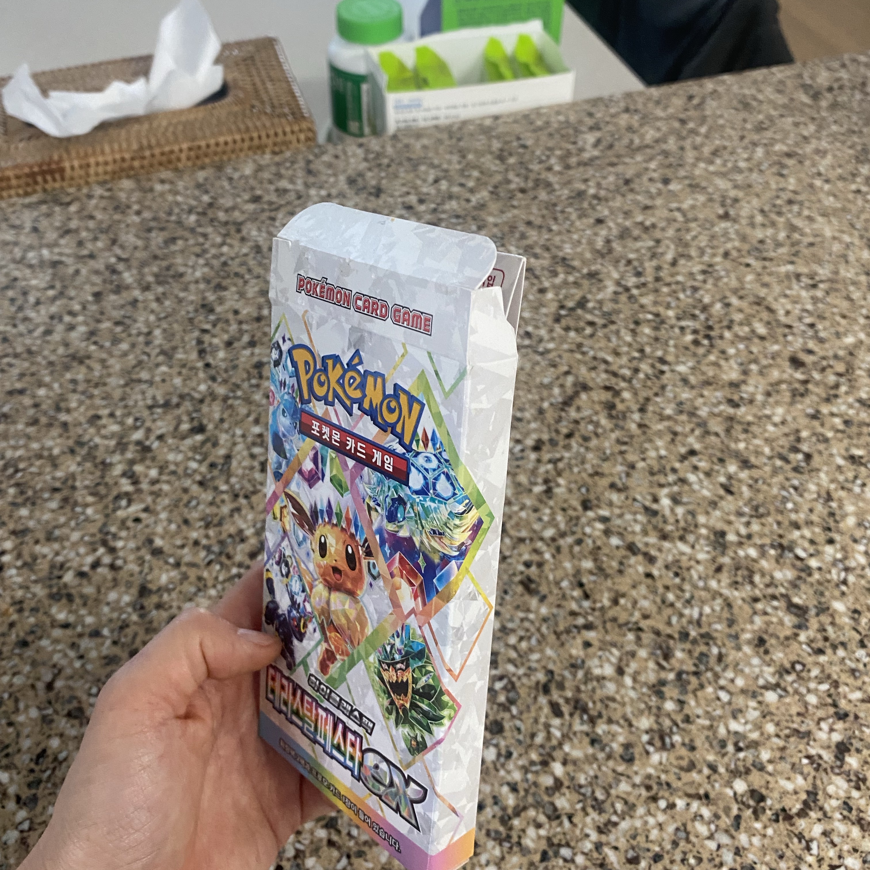 Pokemon TCG Scarlet & Violet Expansion Pack Set Terastal Festival ex Box (Korean Ver.) 착용 스타일