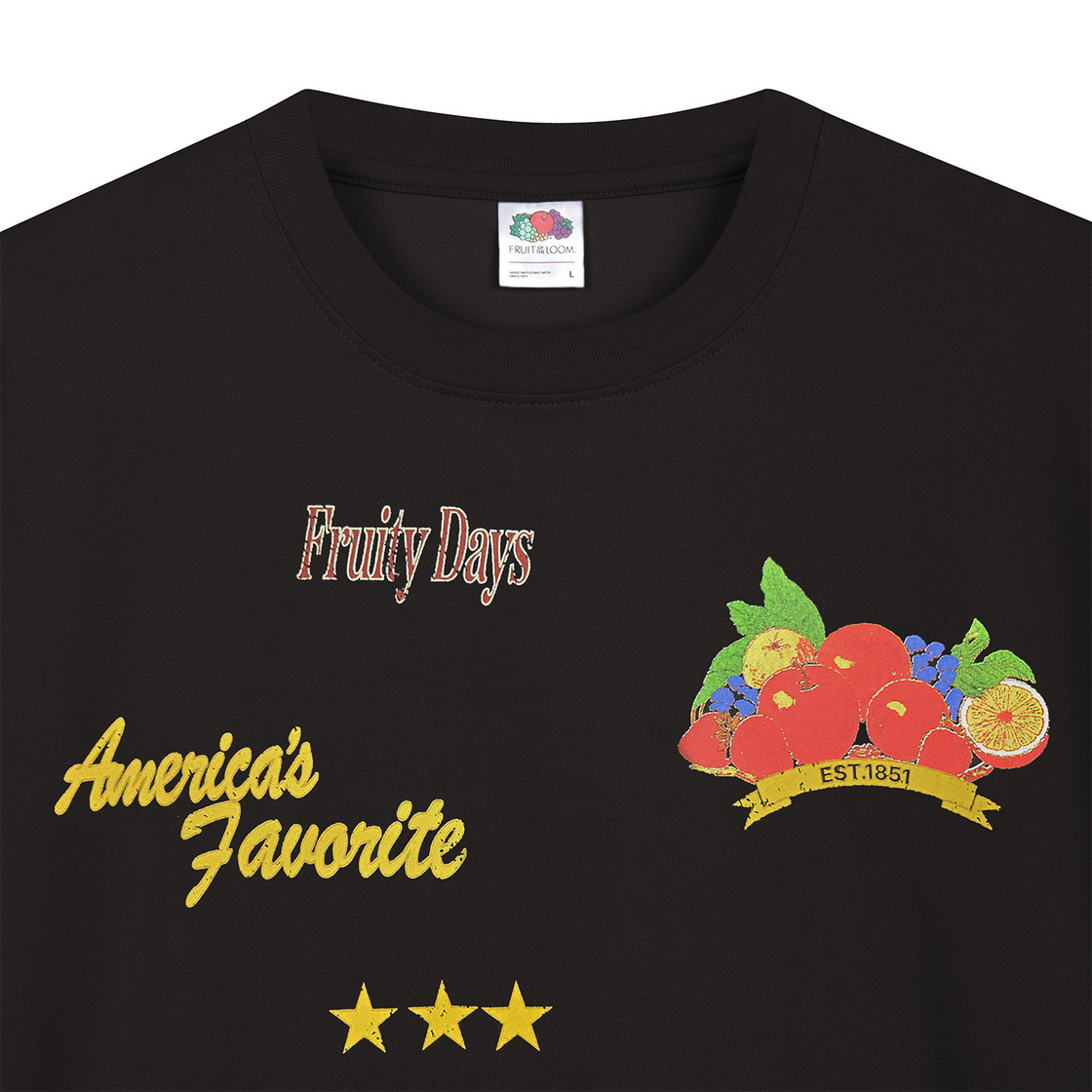 프룻오브더룸 트로피칼 래귤러 반팔티셔츠 블랙(fruitoftheloom Tropical Raglan Banpal T-shirts BLACK) - 3