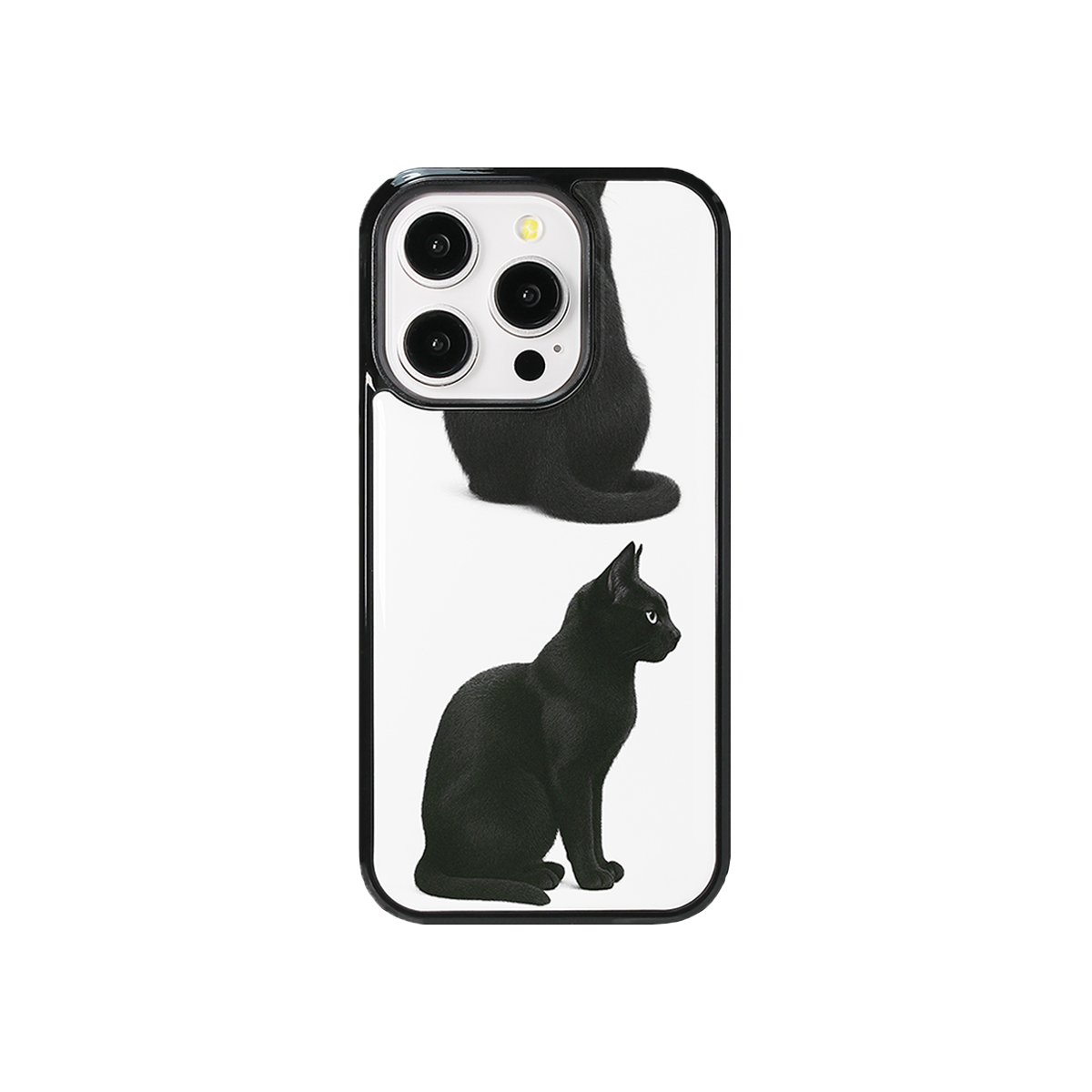 속담 블랙캣 글라스 범퍼 폰케이스(SOKDAM blackcat glass bumper case)