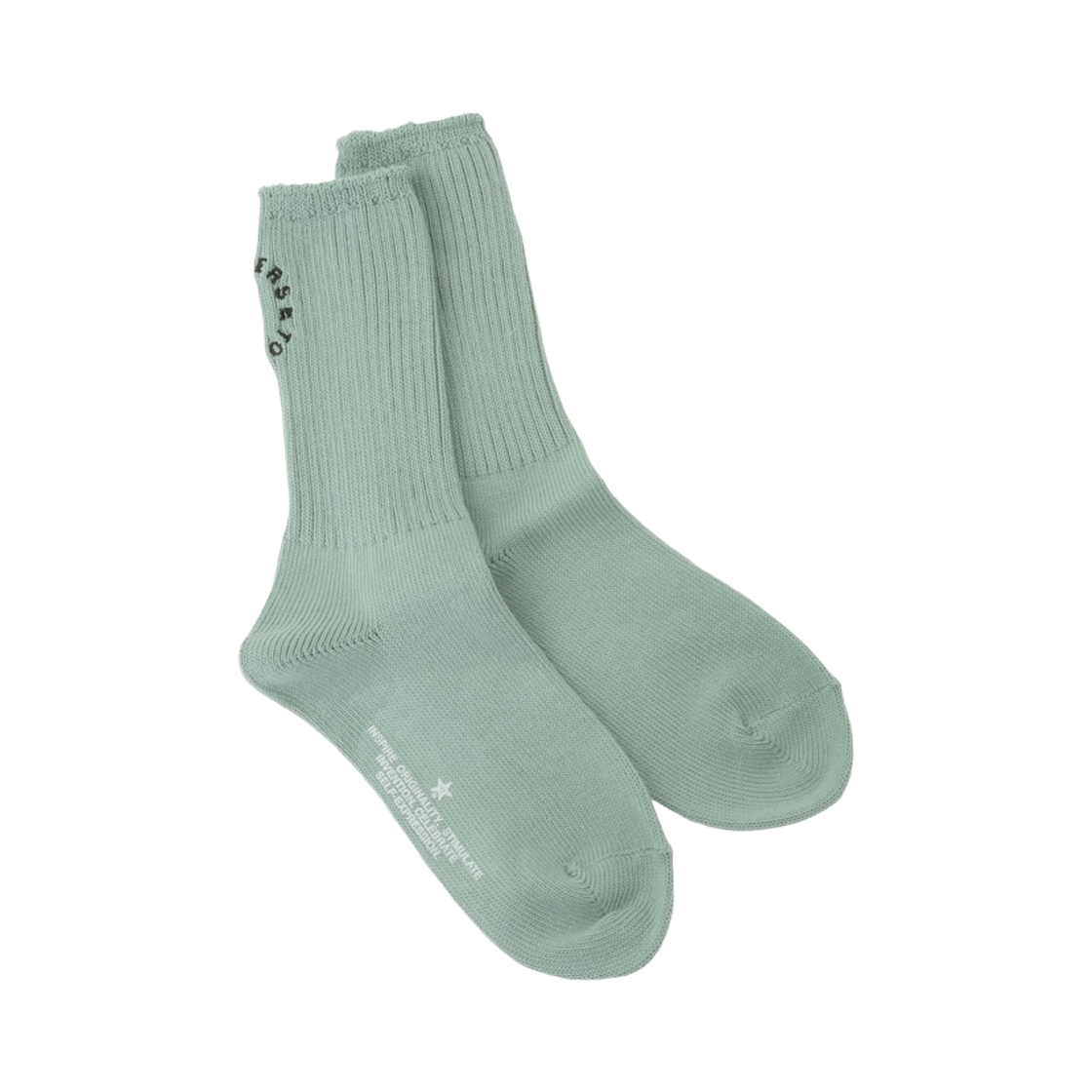 A2866PSC201 Converse Tokyo Circle Logo Rib Socks Mint