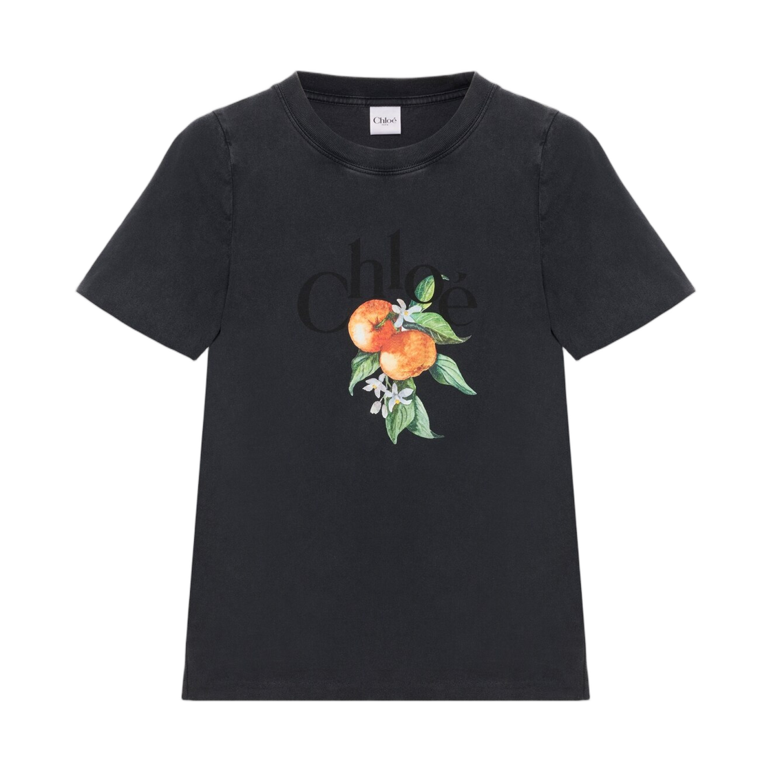 (W) 끌로에 베이비 핏 로고 티셔츠 코튼 저지 애쉬 블랙((W) Chloe Baby Fit Logo T-Shirt in Cotton Jersey Ash Black) - 1
