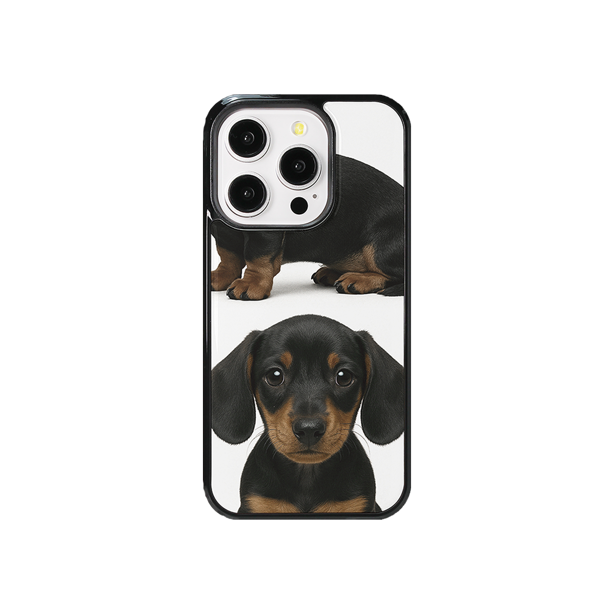 속담 닥스훈트 글라스 범퍼 폰케이스(SOKDAM Dachshund glass bumper case)