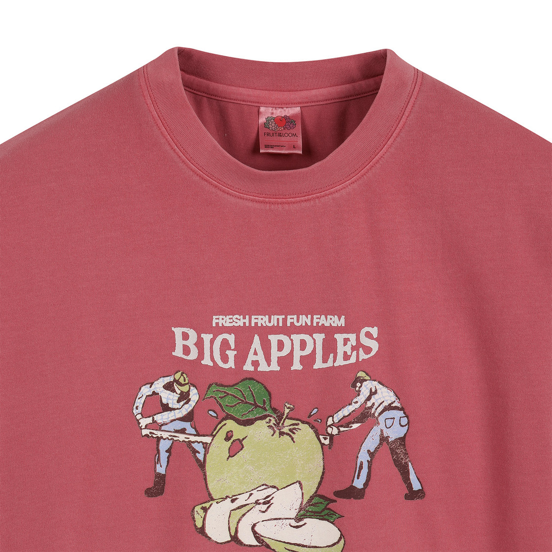 프룻오브더룸 오리지널 피그먼트 애플 반팔티셔츠 레드(fruitoftheloom Original Pigment Apple Banpal T-shirts RED) - 3
