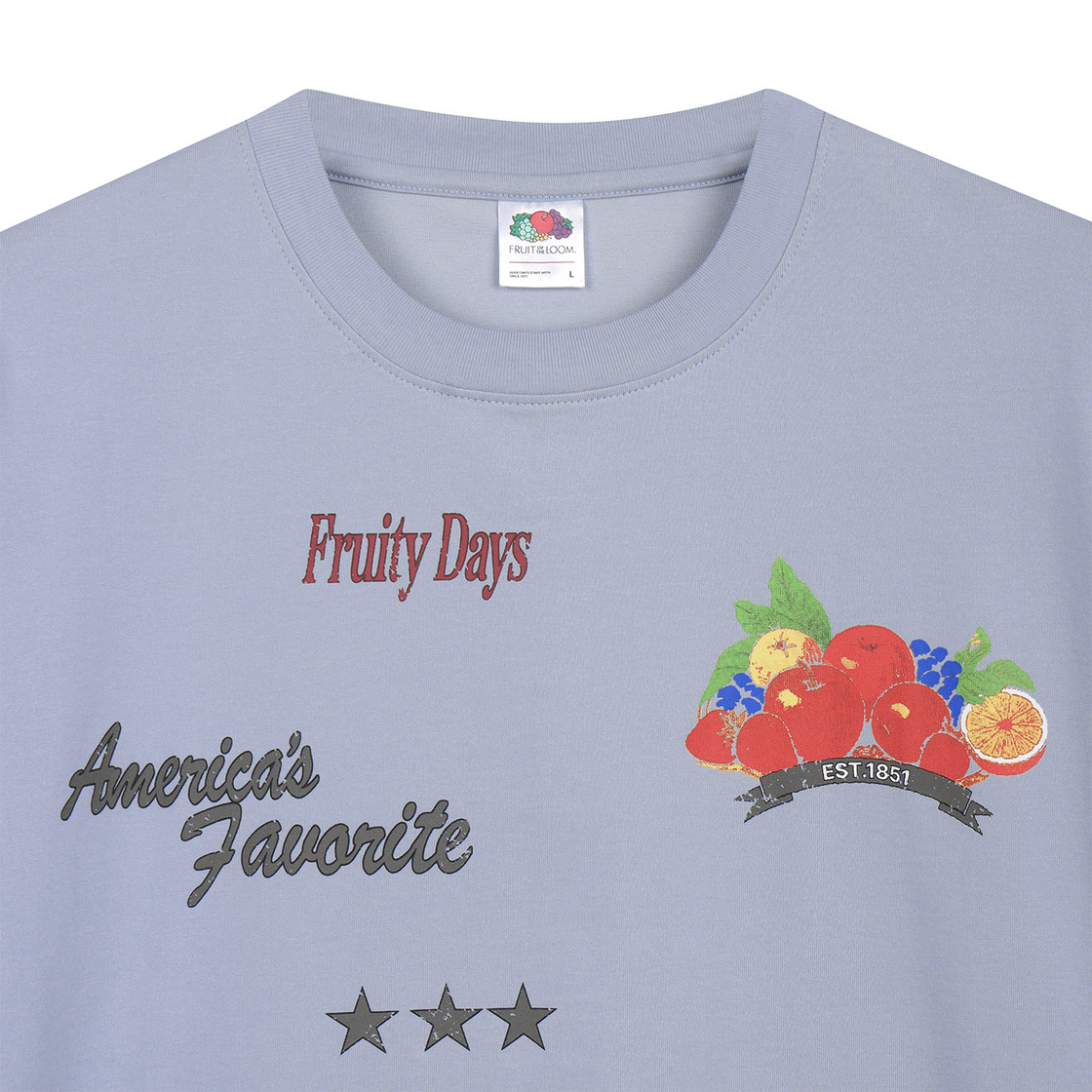 프룻오브더룸 트로피칼 래귤러 반팔티셔츠 블루 라이트(fruitoftheloom Tropical Raglan Banpal T-shirts BLUE LIGHT) - 3