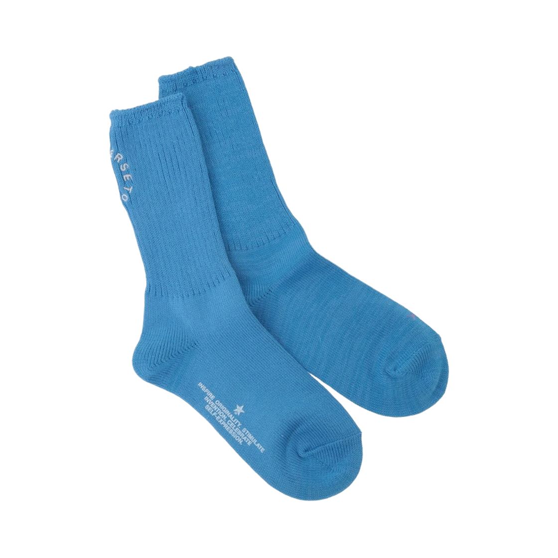 A2866PSC004 Converse Tokyo Circle Logo Rib Socks Blue