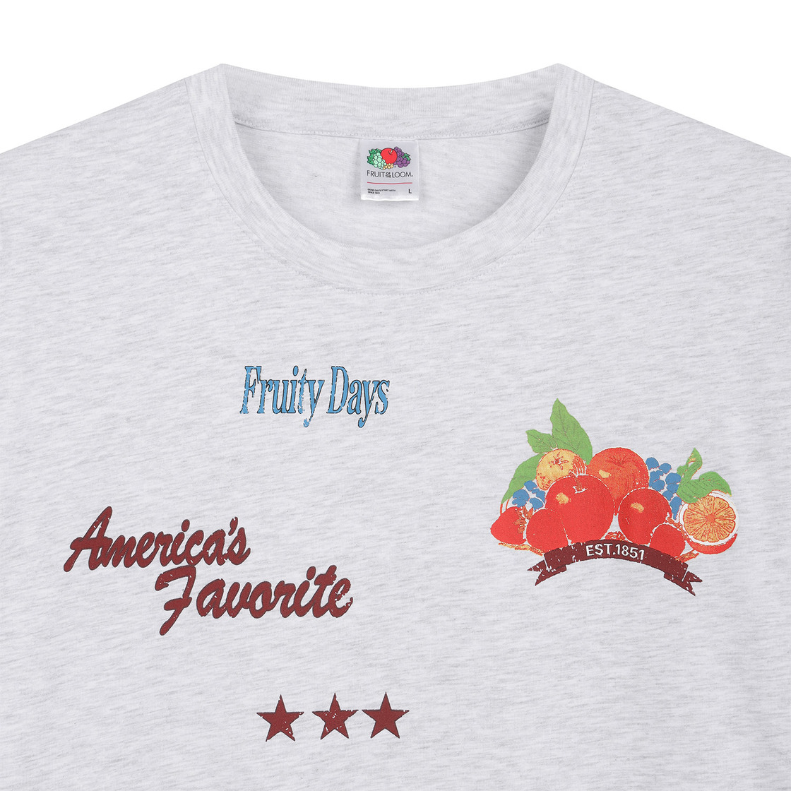 프룻오브더룸 트로피칼 래귤러 반팔티셔츠 멜란지 그레이 라이트(fruitoftheloom Tropical Raglan Banpal T-shirts MELANGE GREY LIGHT) - 3