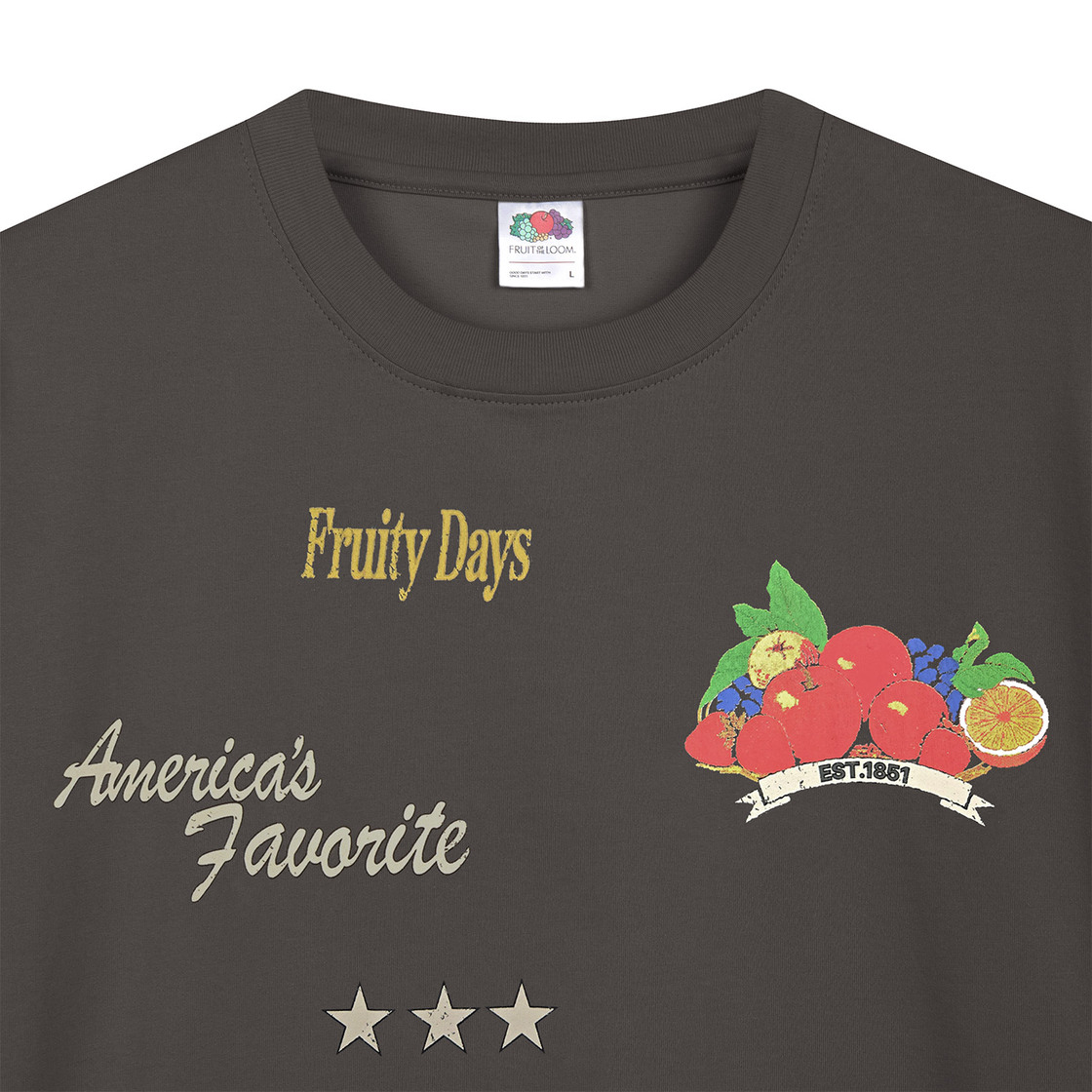 프룻오브더룸 트로피칼 래귤러 반팔티셔츠 차콜 그레이(fruitoftheloom Tropical Raglan Banpal T-shirts CHARCOAL GREY) - 3