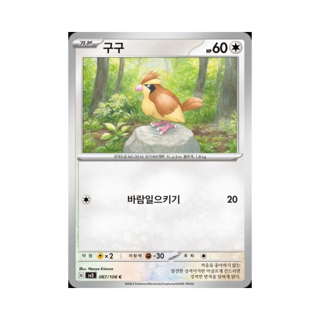 포켓몬 TCG 구구 C 흑염의 지배자 (한글판)(Pokemon TCG Pidgey C Ruler Of The Black Flame (Korean Ver.)) - 1