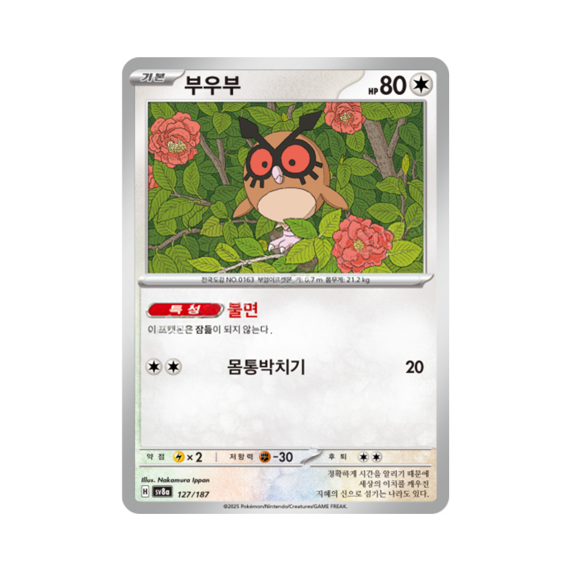 포켓몬 TCG 부우부 테라스탈 페스타 ex (한글판)(Pokemon TCG Hoothoot Terastal Fest ex (Korean Ver.)) - 1