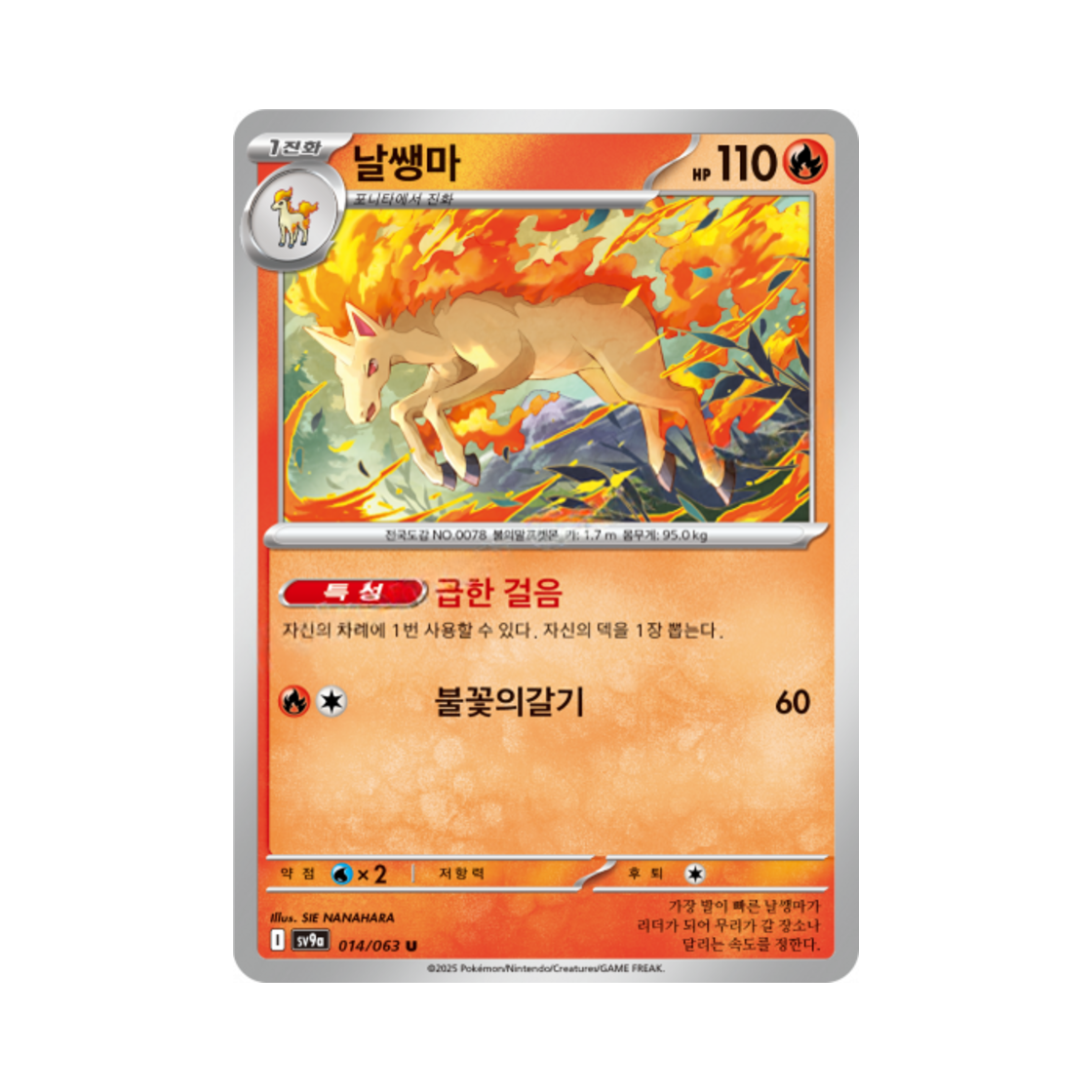 포켓몬 TCG 날쌩마 U 열풍의 아레나 (한글판)(Pokemon TCG Rapidash U Hot Air Arena (Korean Ver.))