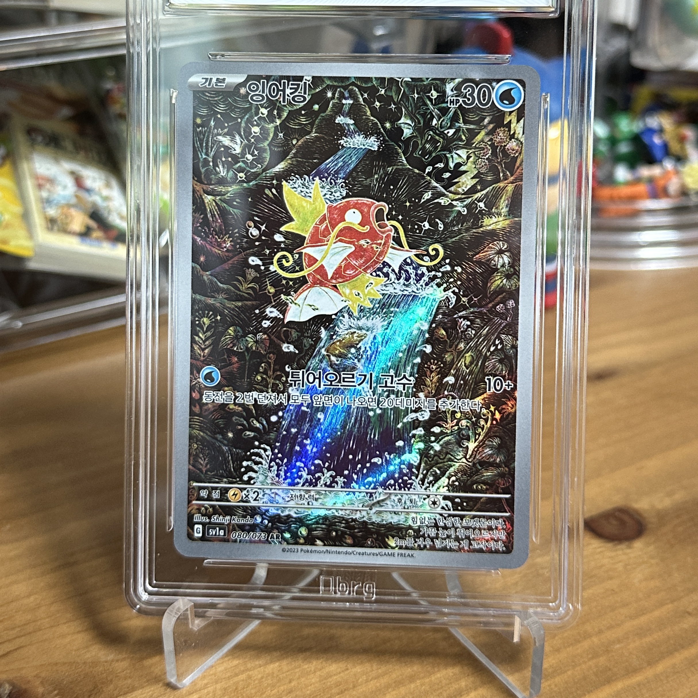 Pokemon TCG Magikarp AR Triplet Beat (Korean Ver.), Pokemon TCG Magikarp AR Triplet Beat (Japanese Ver.) 착용 스타일