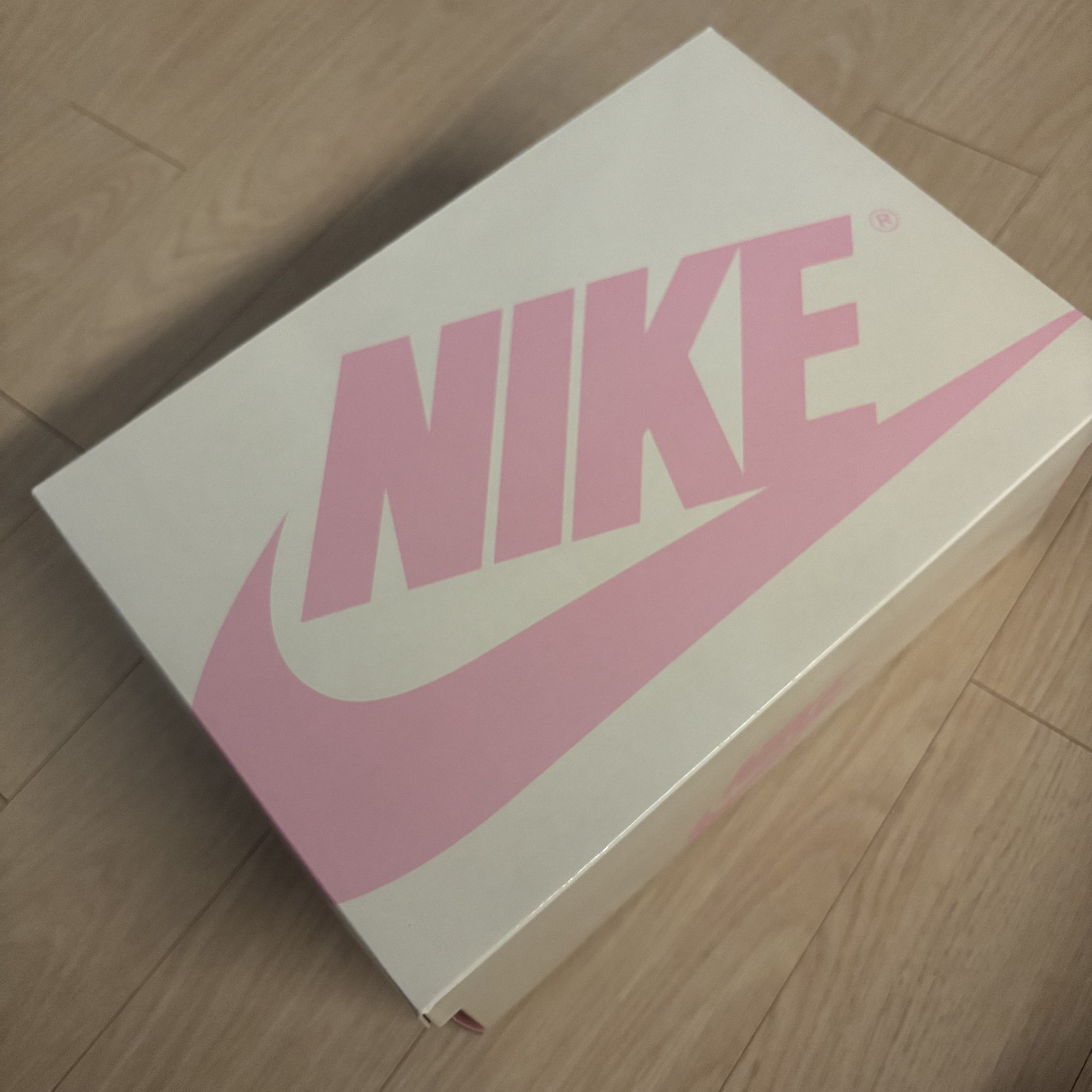 Jordan 1 x Travis Scott Retro Low OG SP Muslin Shy Pink 착용 스타일 - 3