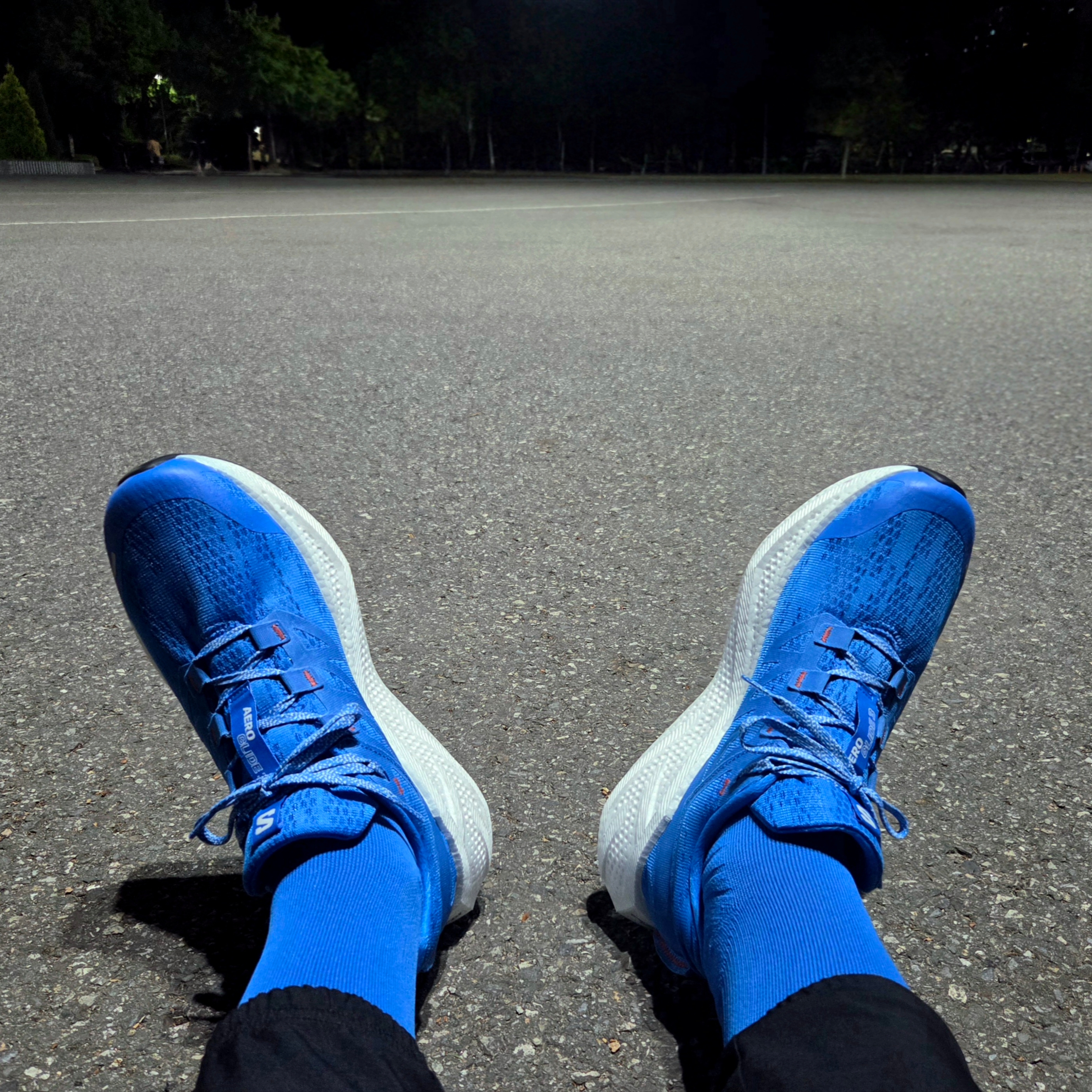 Salomon Aero Glide 3 French Blue White 착용 스타일