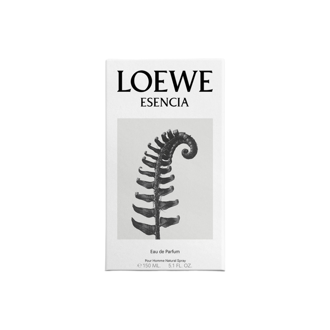 로에베 에센시아 오 드 퍼퓸 150ml(Loewe Esencia Eau De Parfum 150ml) - 2