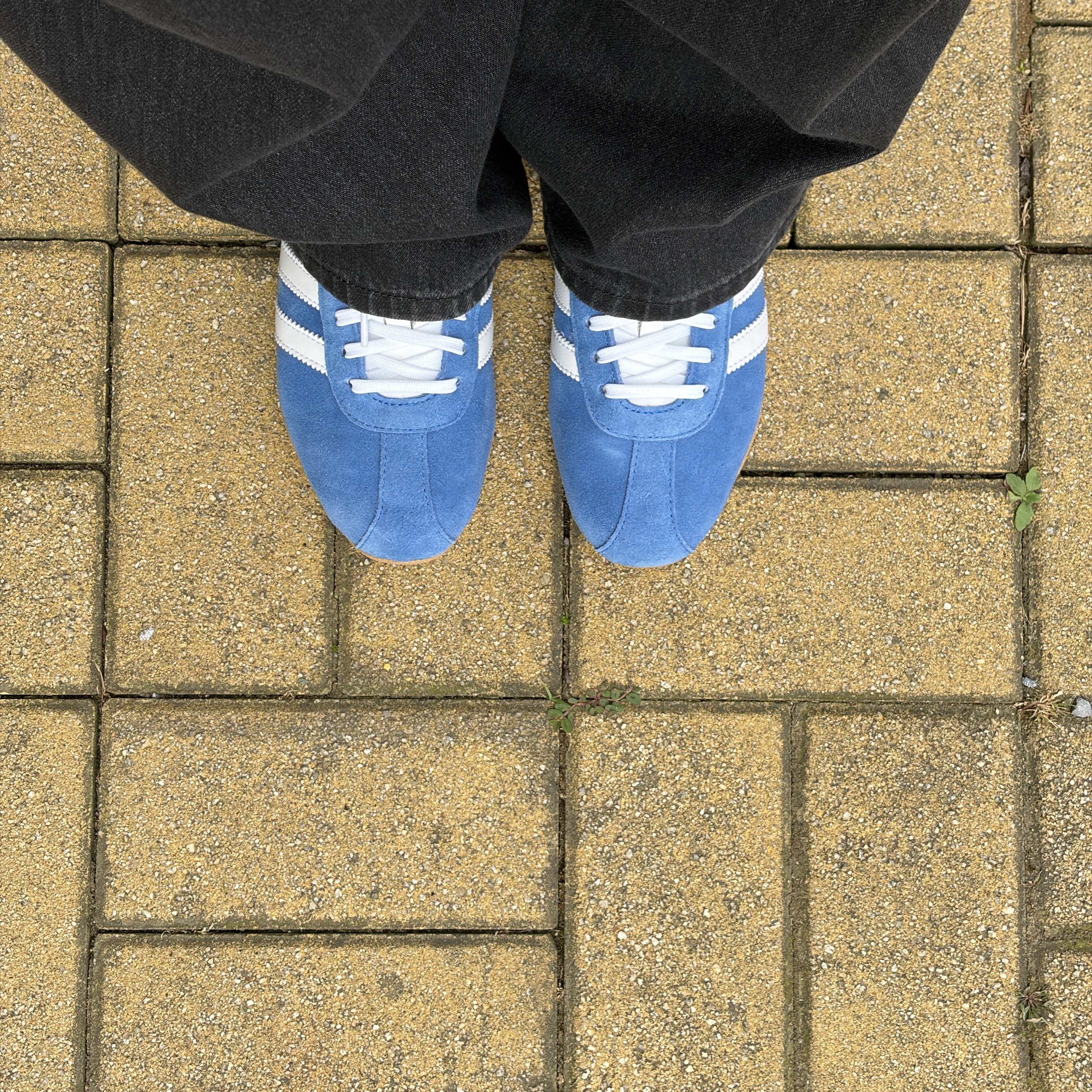 (W) Adidas Tokyo Blue Bird Cloud White 착용 스타일