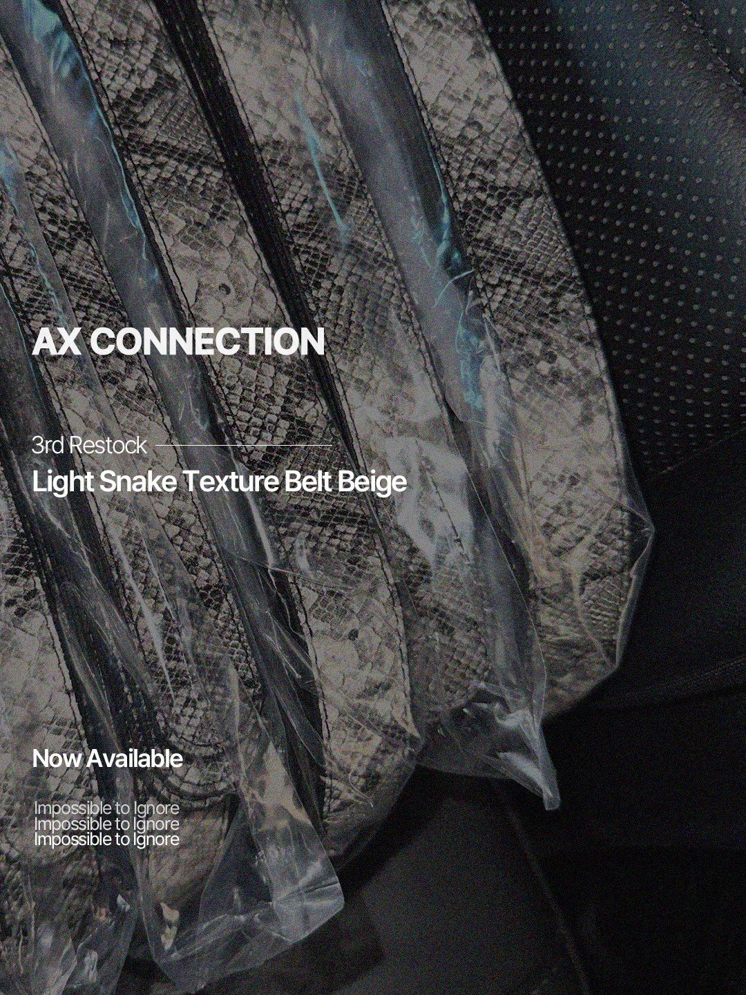 AX CONNECTION Light Snake Texture Belt Beige 착용 스타일