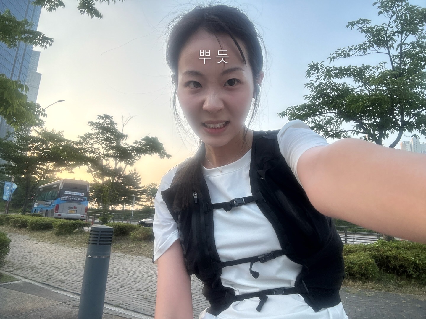 DECATHLON Lightweight Trail Running Vest 5L Graphite Grey, (W) New Balance 1080v15 Grey Matter Silver Metallic - D Wide 착용 스타일 - 5