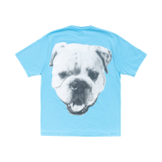 Stussy Big Dog Stone Washed T-Shirt Sky Blue