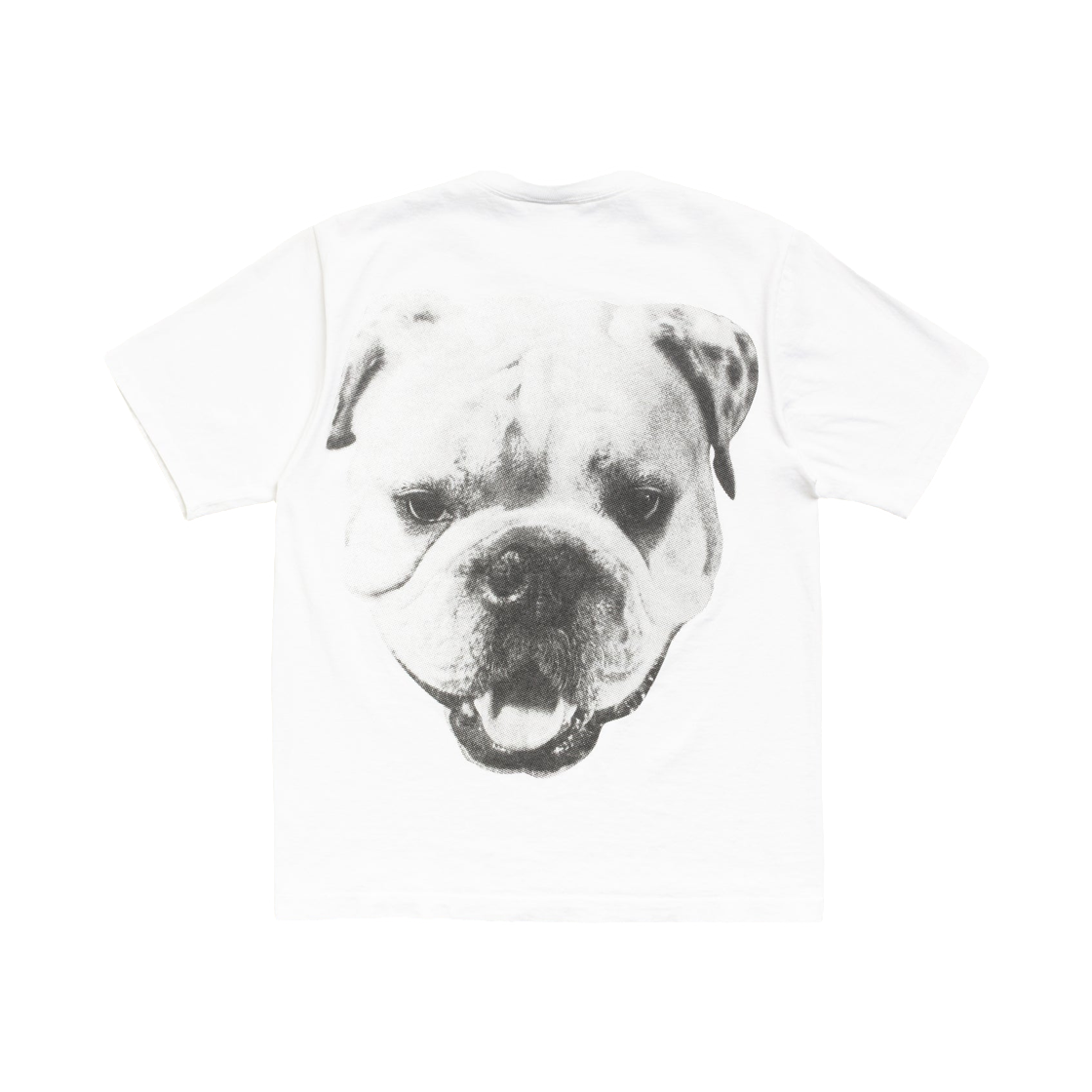 1905211 Stussy Big Dog Stone Washed T-Shirt White