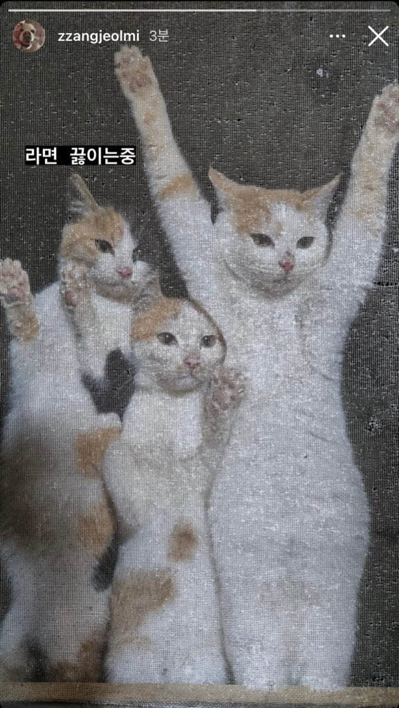 KREAM 프로필 이미지