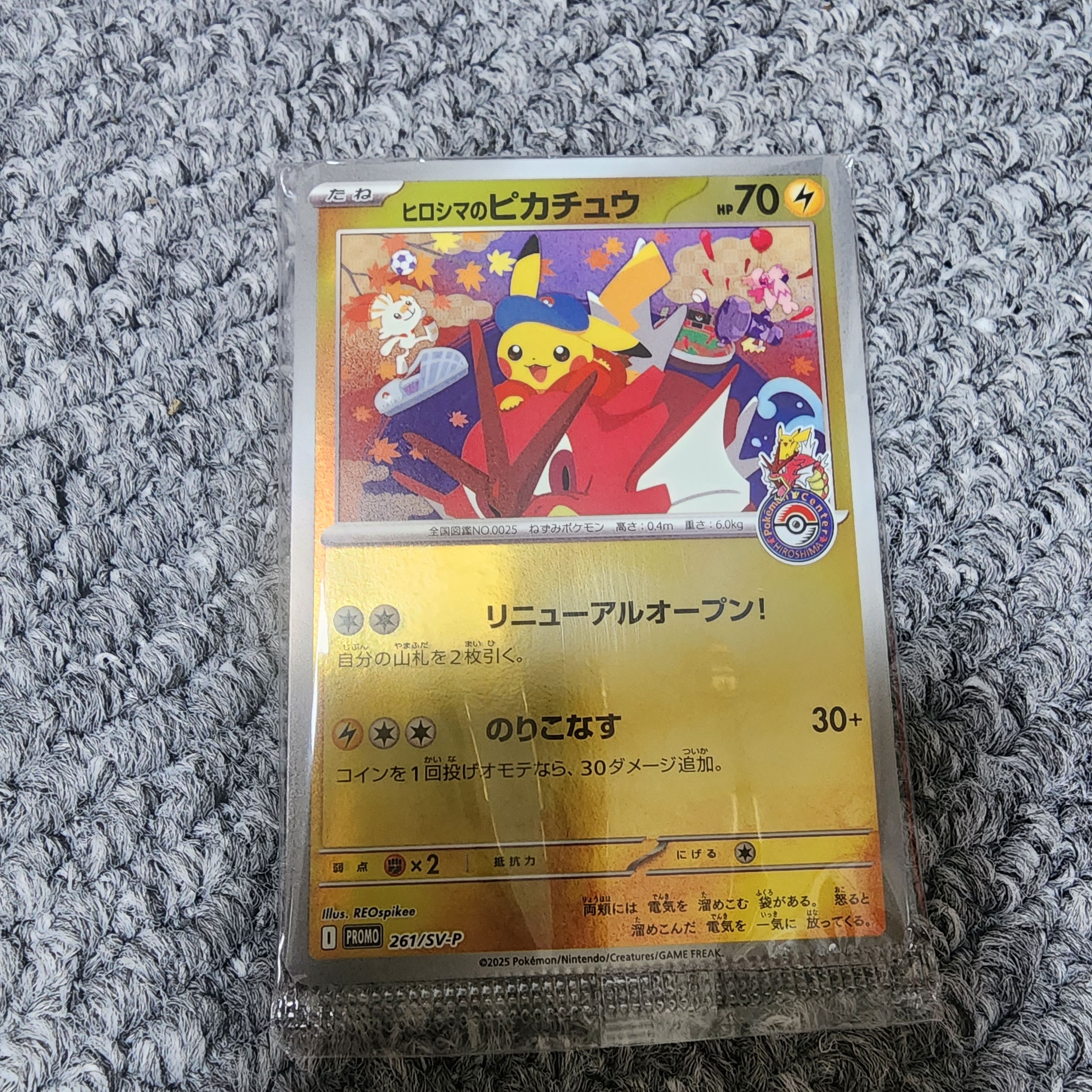 Pokemon TCG Special Box Pokemon Center Hiroshima (Japanese Ver.) 착용 스타일 - 2