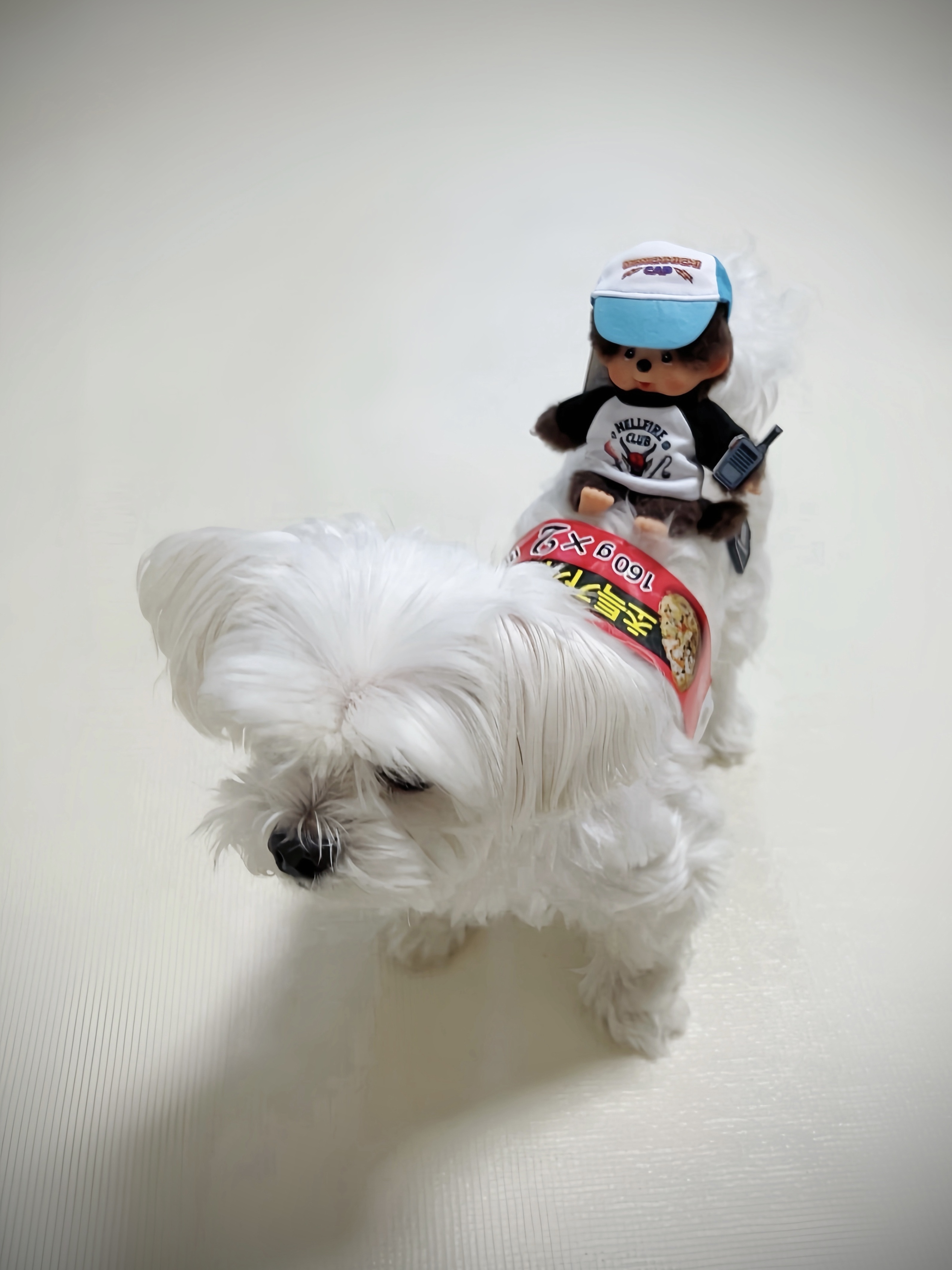 Monchhichi x Strange Things Key Chain Hellfire Club 착용 스타일