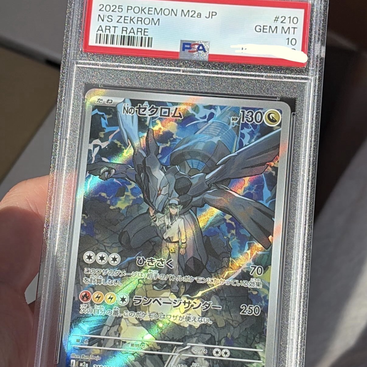 Pokemon TCG N's Zekrom AR Mega Dream ex (Japanese Ver.) 착용 스타일