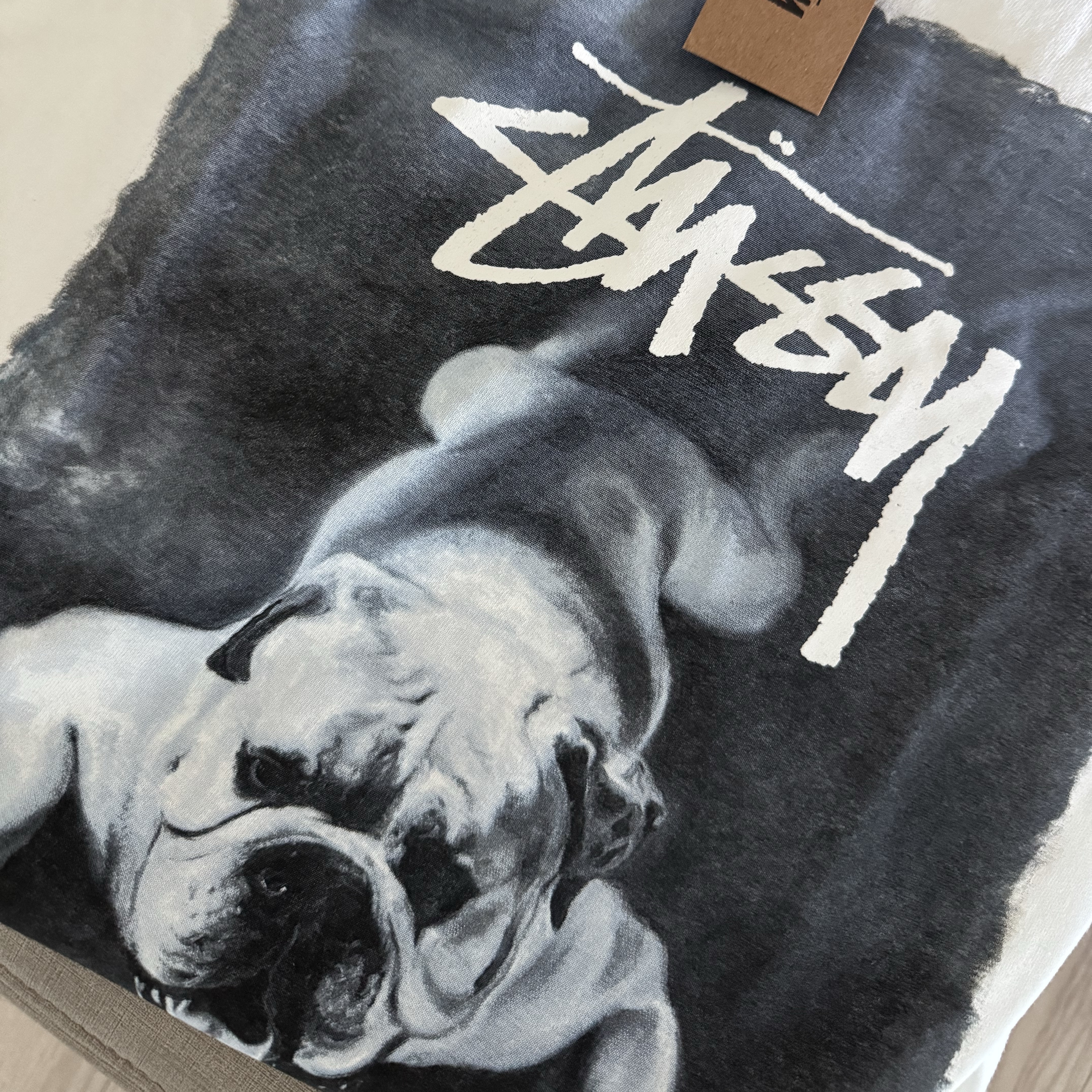 Stussy Bulldog T-Shirt White 착용 스타일