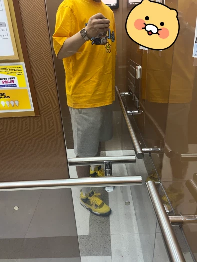 스타일 카드