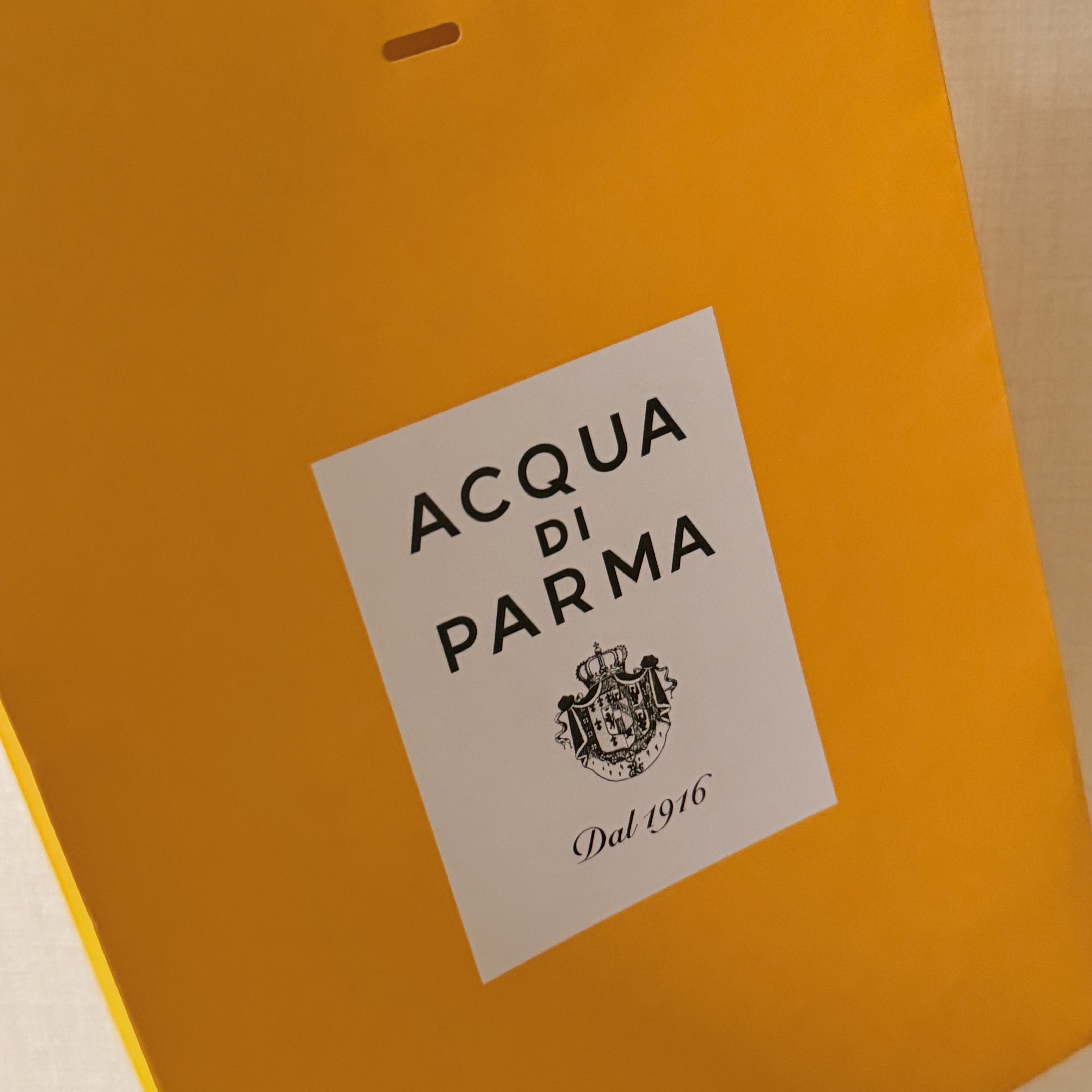 Acqua Di Parma Mirto di Panarea Eau De Toilette 100ml 착용 스타일
