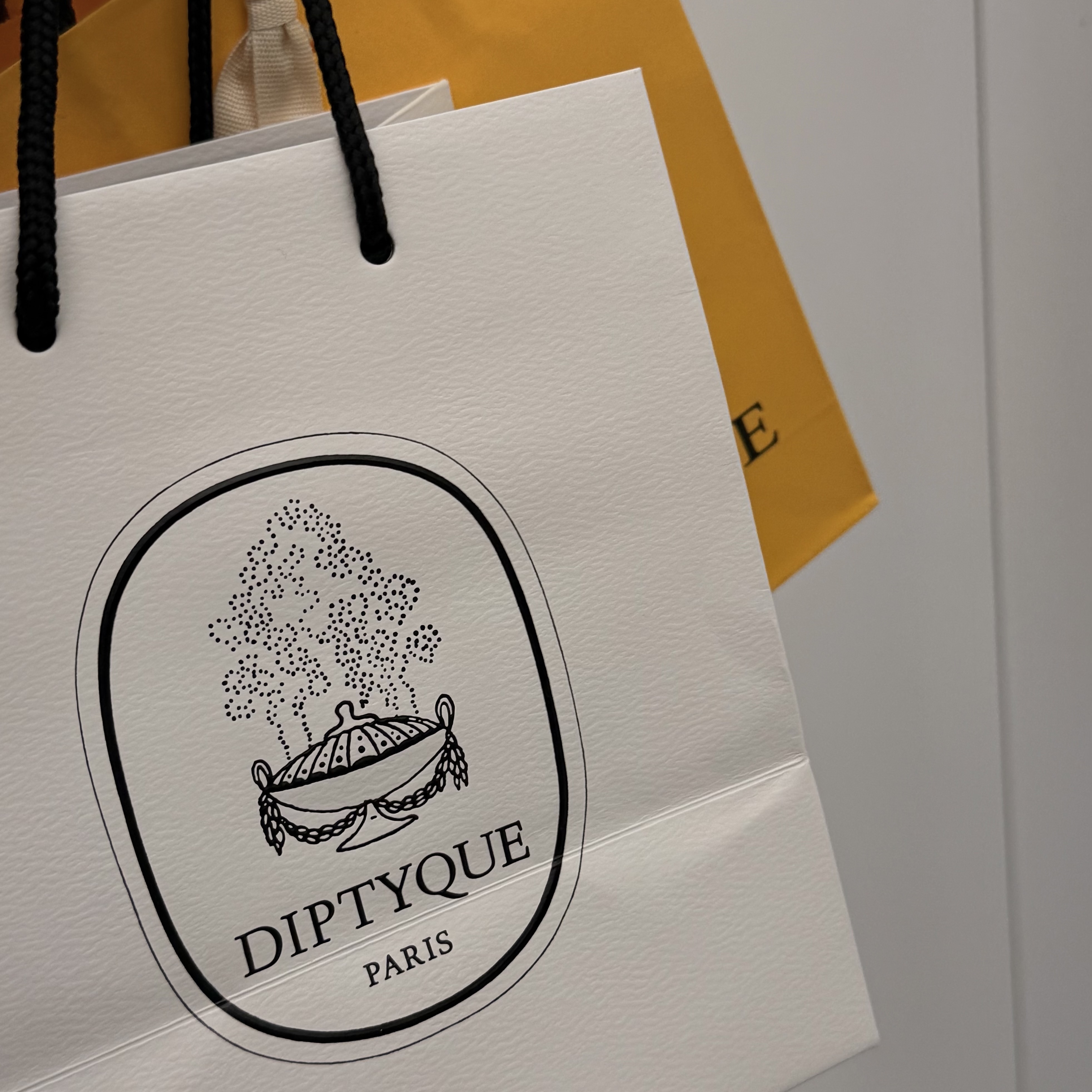 Diptyque Orpheon Eau De Parfum 75ml 착용 스타일