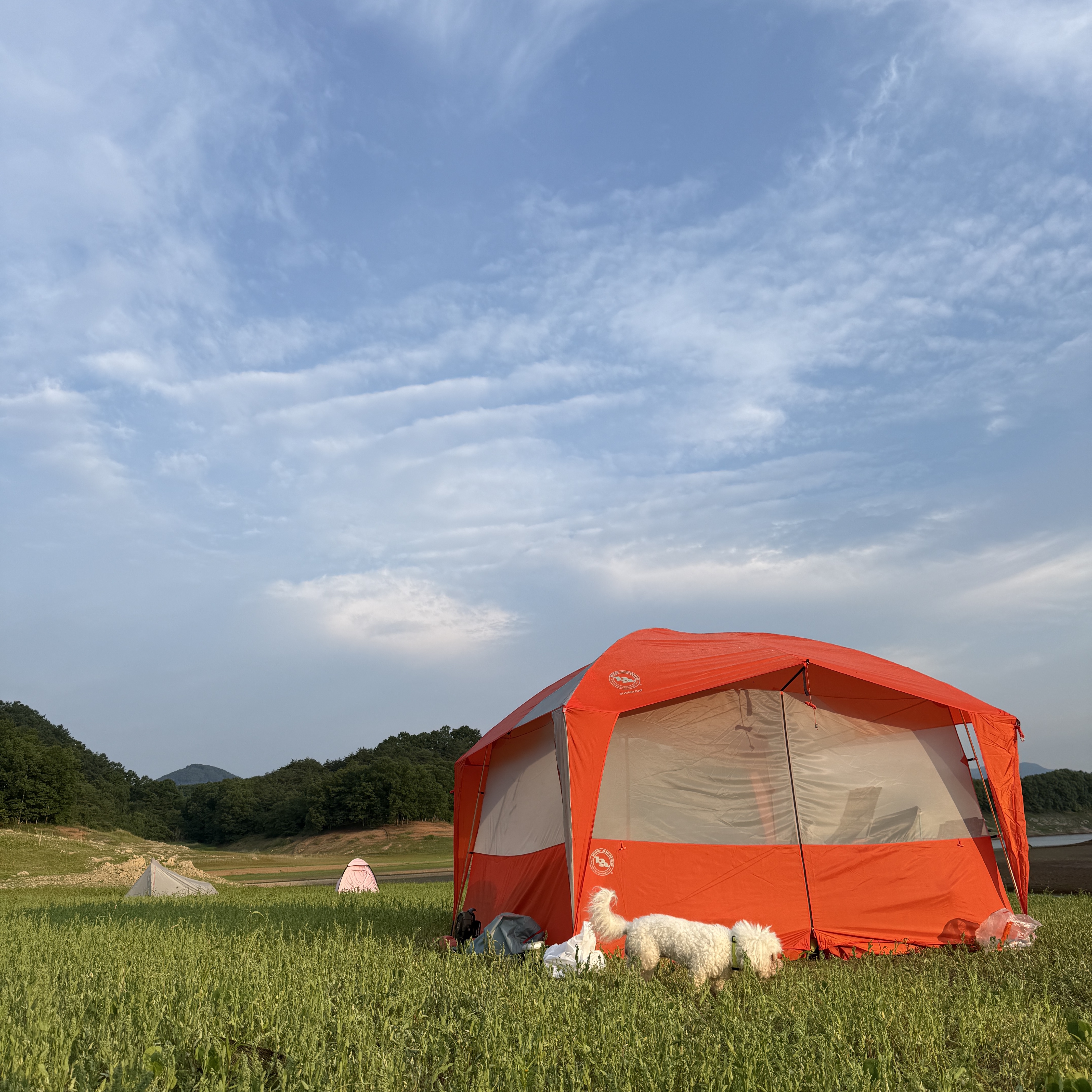 너구리님의 스타일