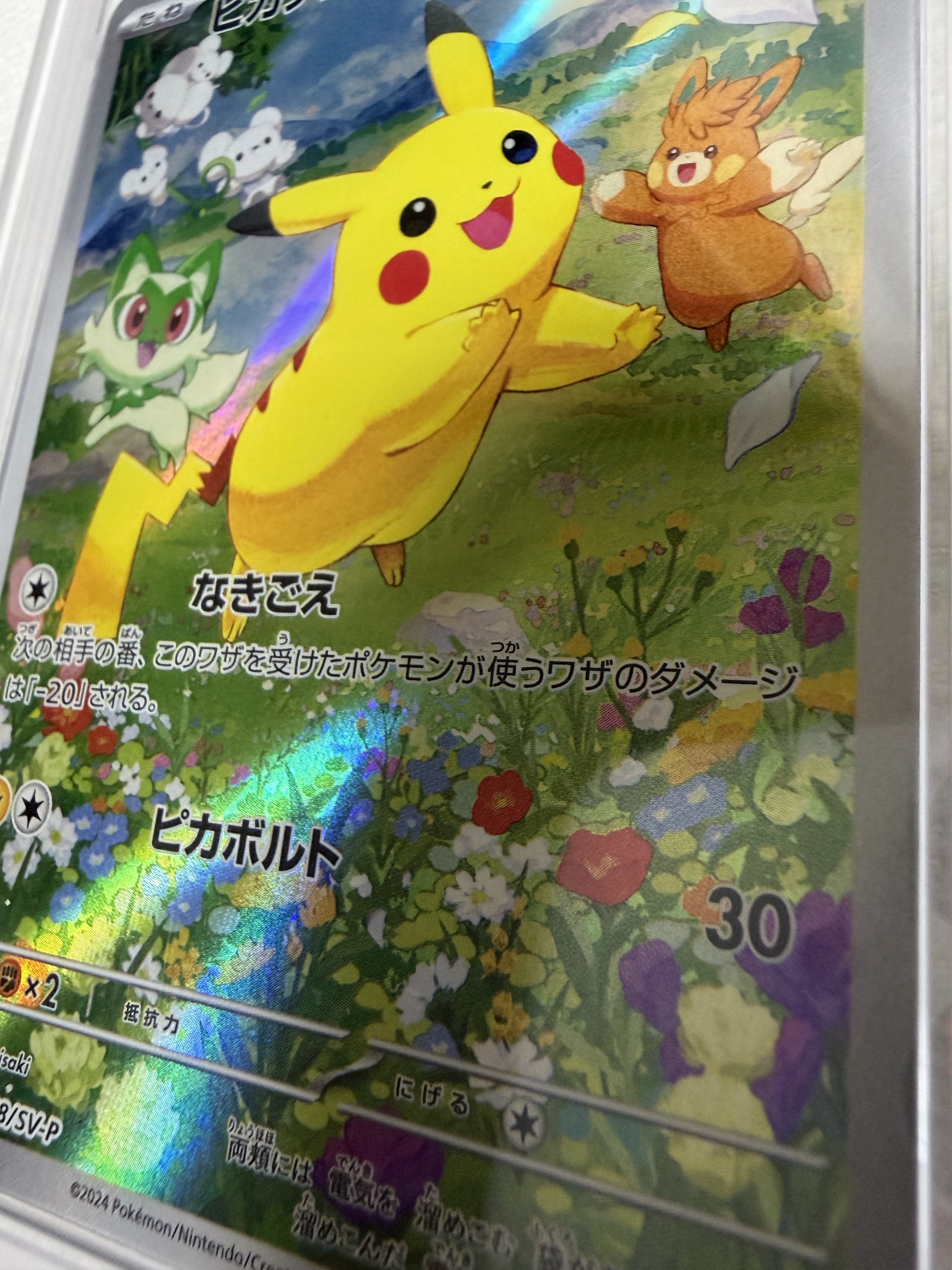 Pokemon TCG Pikachu P Scarlet & Violet Promos (Japanese Ver.) 착용 스타일