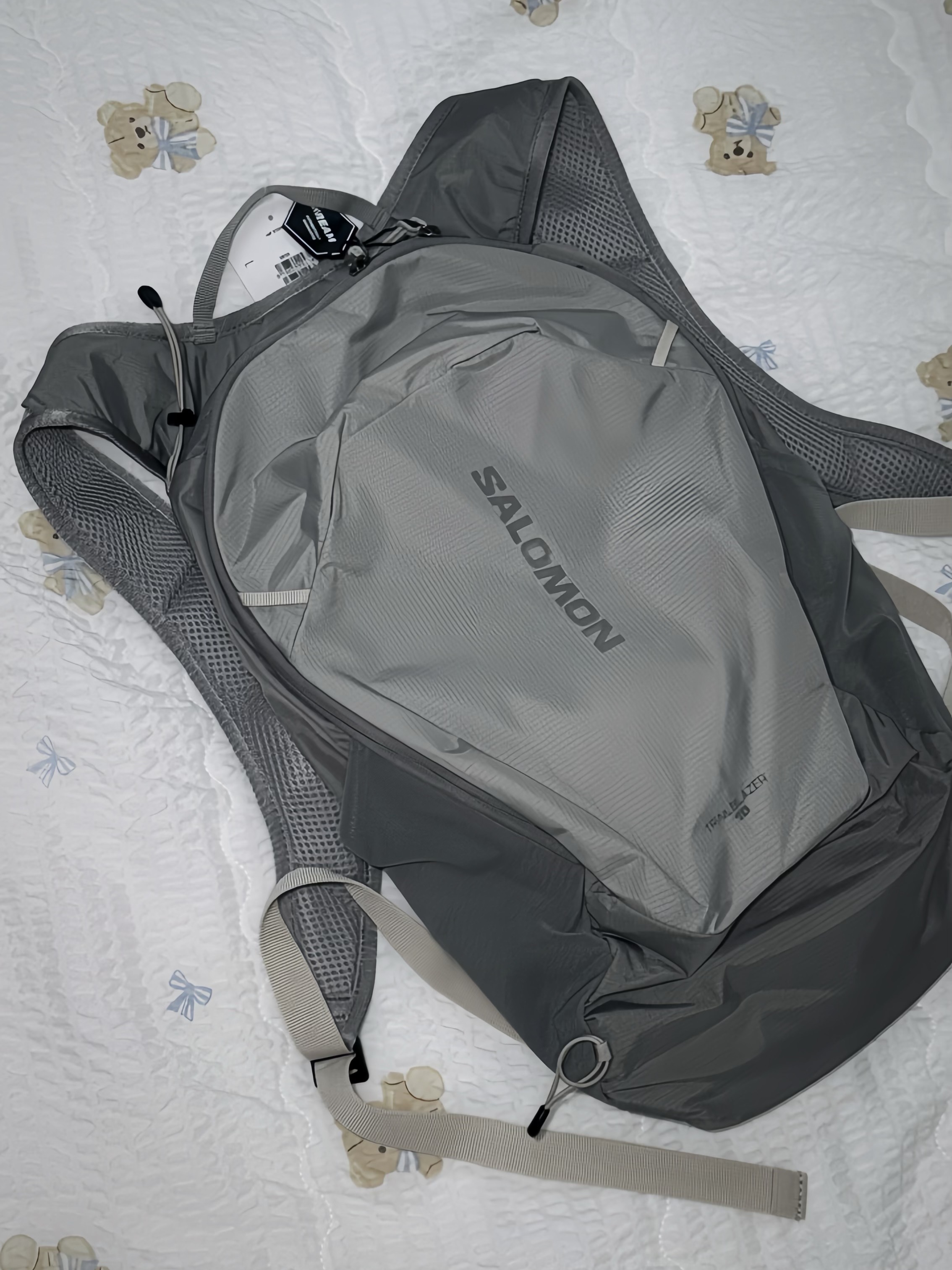 Salomon Trailblazer 10 Grey 착용 스타일