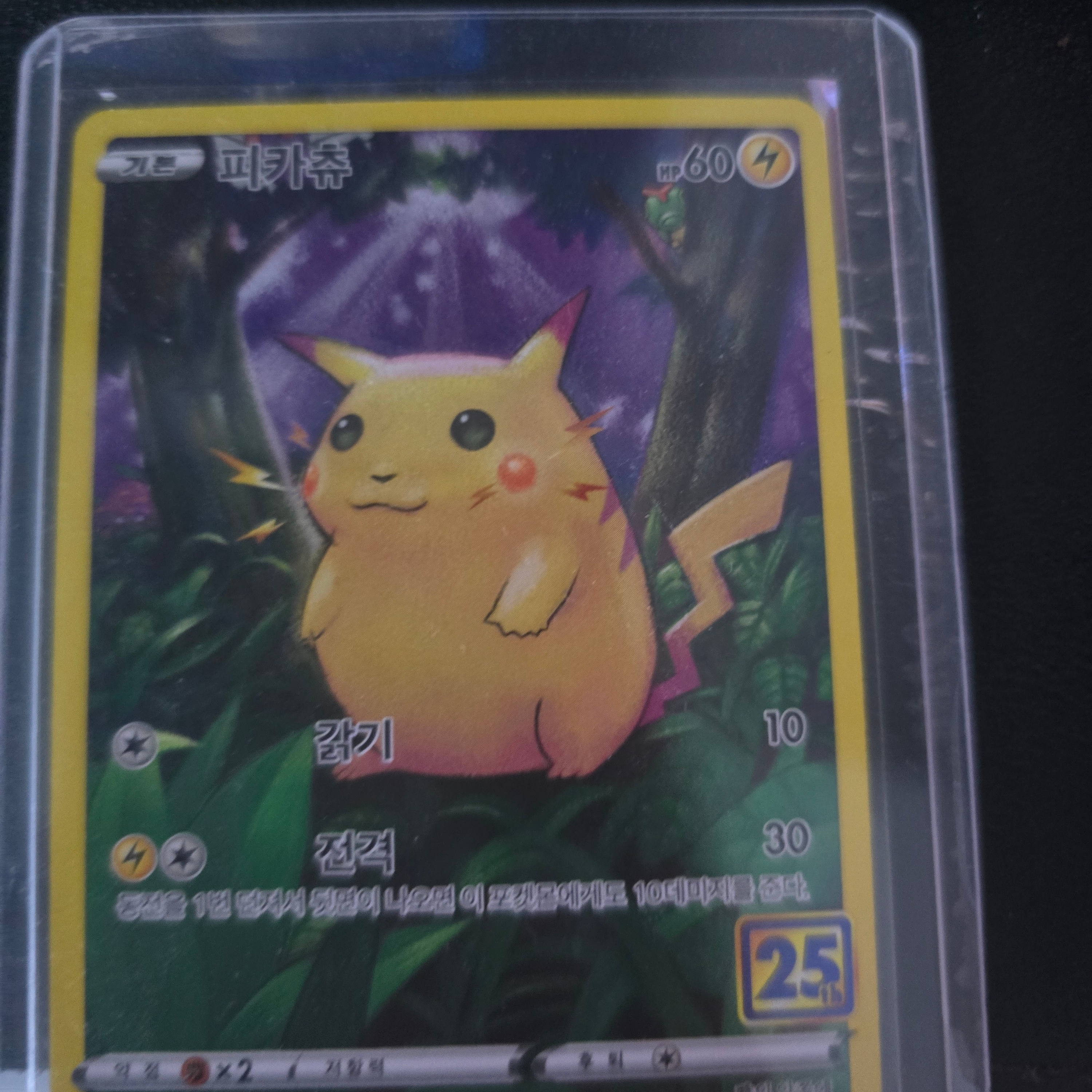 Pokemon TCG Pikachu 25Th Anniversary Collection (Japanese Ver.) 착용 스타일