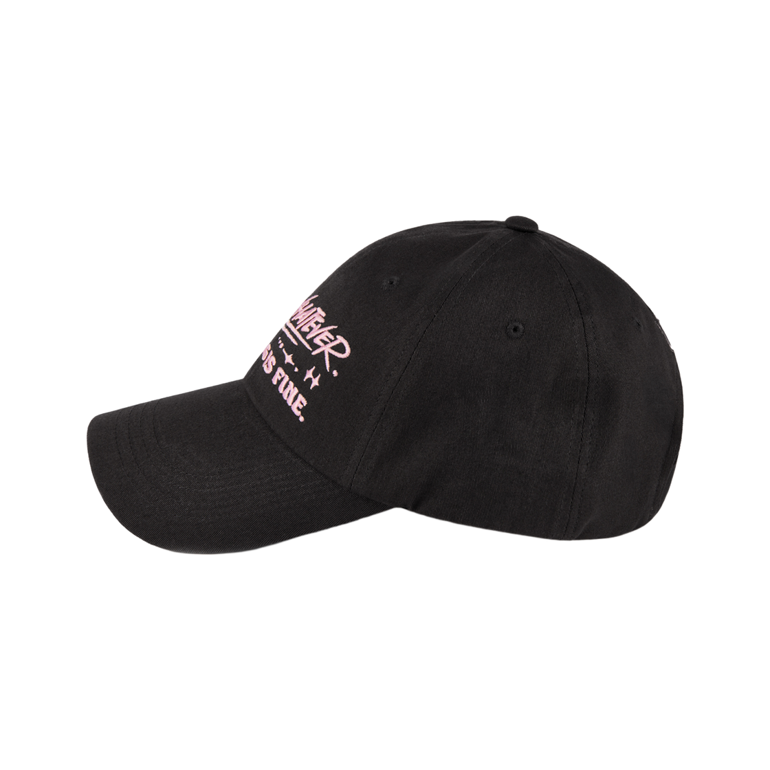 베루툼 페가수수 왓에버 볼캡 차콜(VERUTUM BC255 Pegasus Whatever Ball Cap Charcoal) - 3
