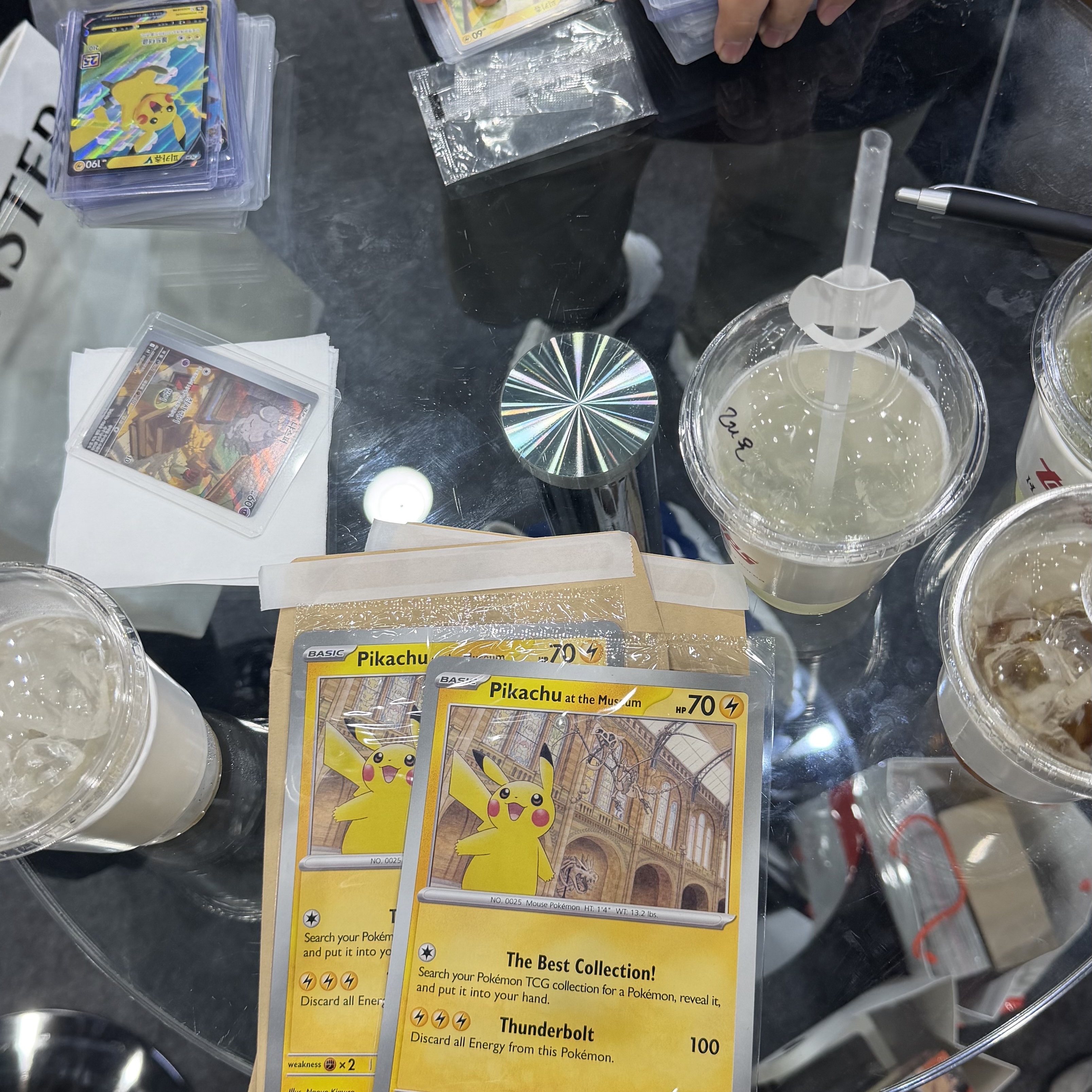 Pokemon TCG Pikachu at the Museum Natural History Museum Jumbo Promos (English Ver.) 착용 스타일