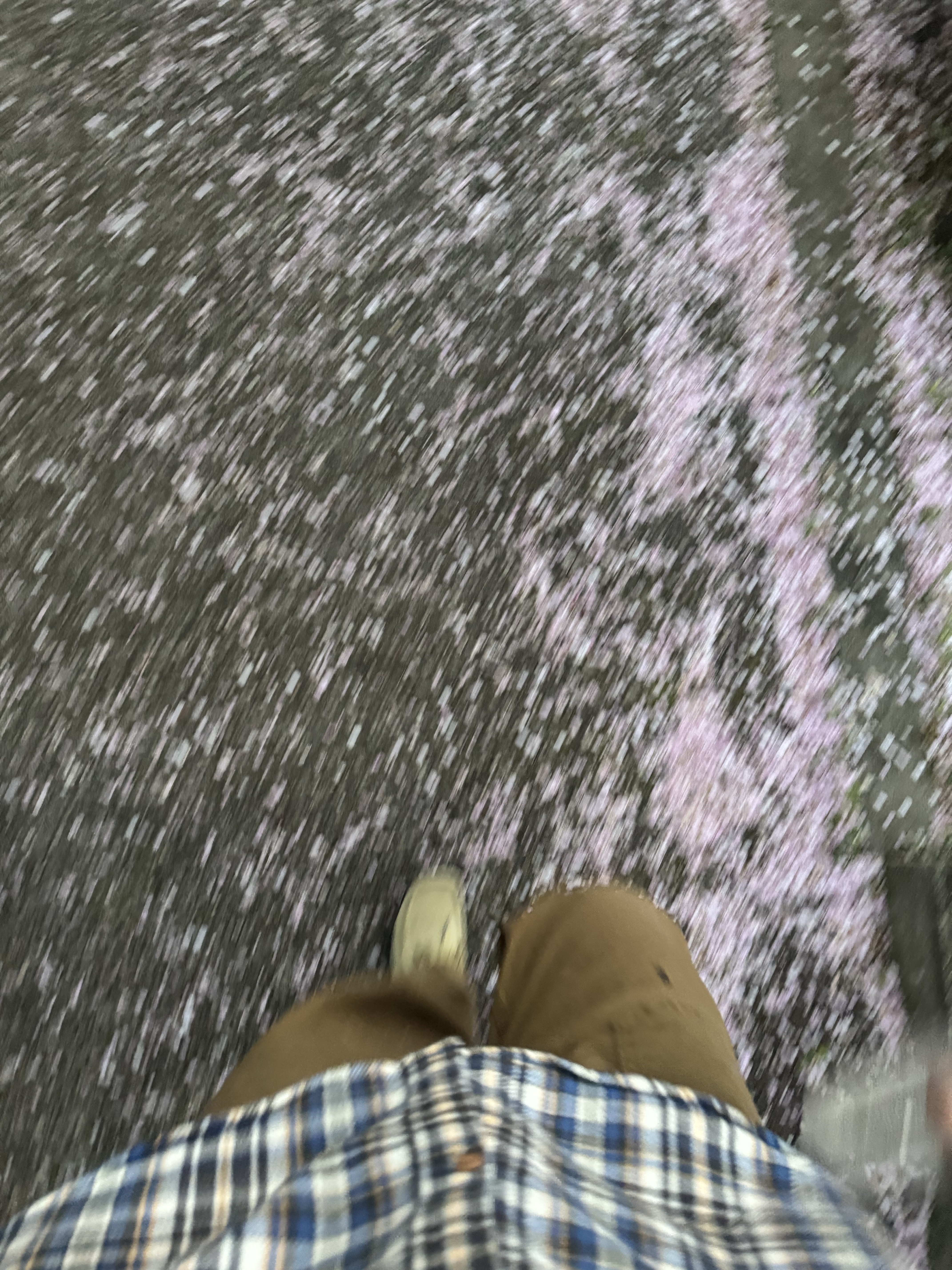 Clarks Wallabee Maple Suede 착용 스타일