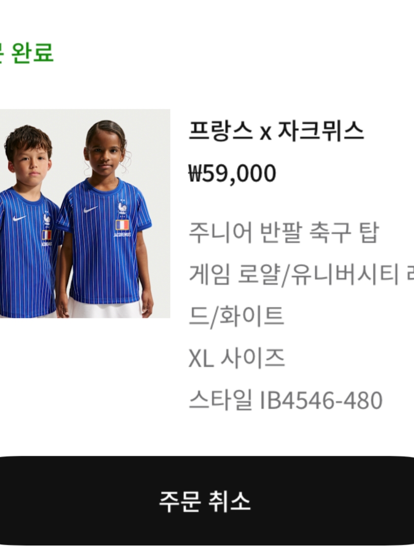 Nike x Jacquemus France Dri-Fit Short-Sleeve Top Game Royal University Red White (IH1674-480) 착용 스타일