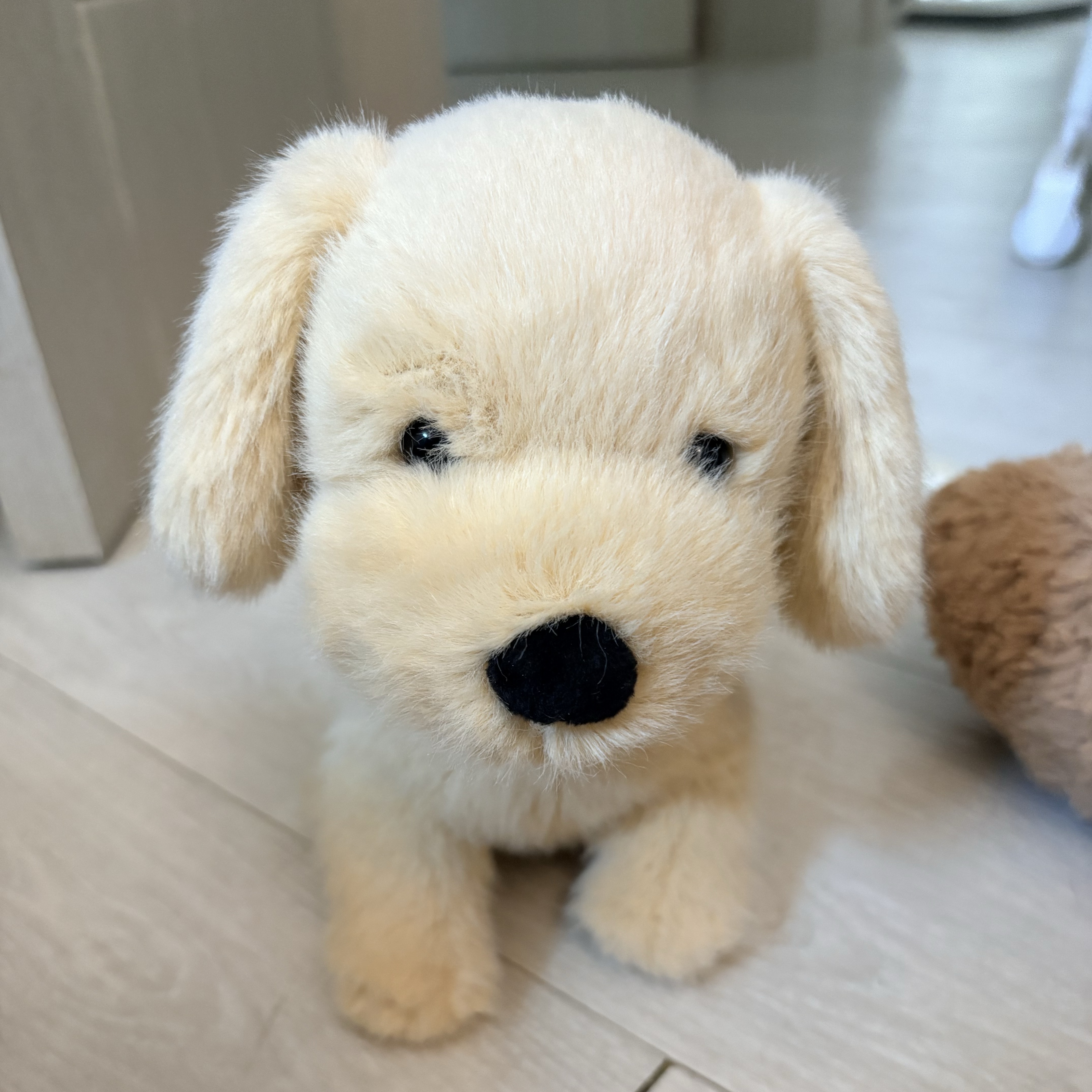 Jellycat Golden Puppy Beige 착용 스타일