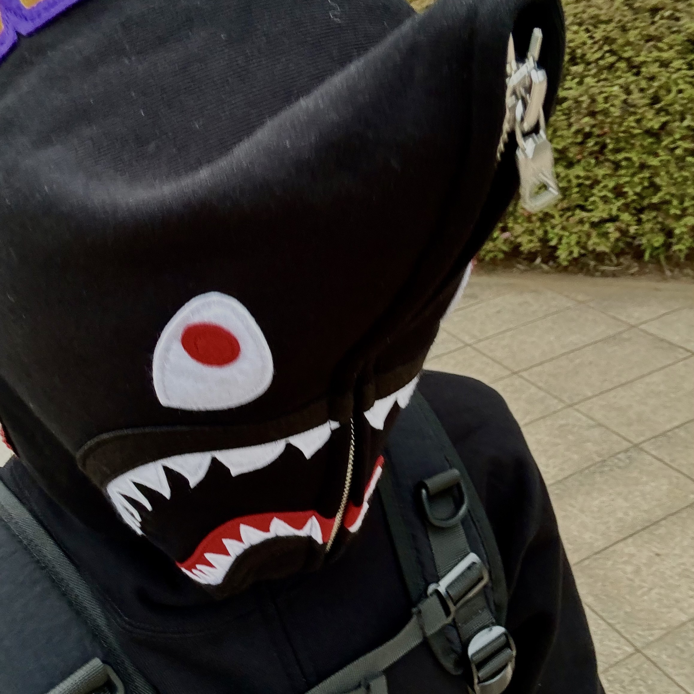 BAPE Shark Full Zip Hoodie Black 착용 스타일