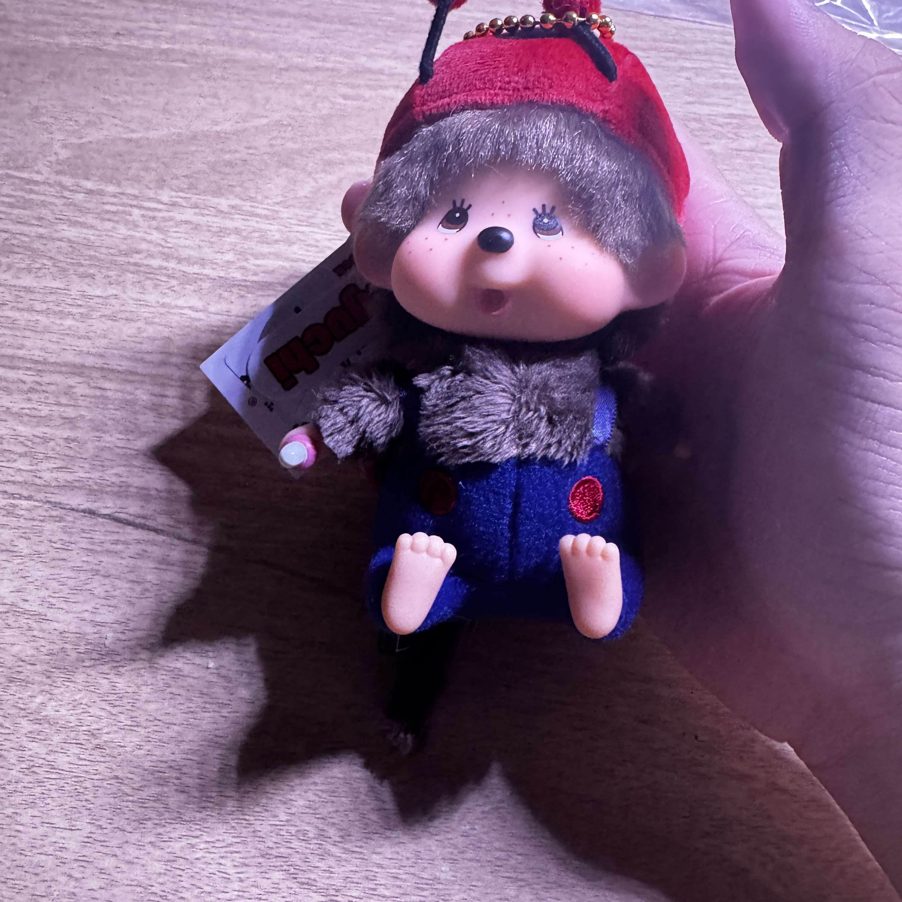 Monchhichi Bighead SS Ladybug Key Chain 착용 스타일