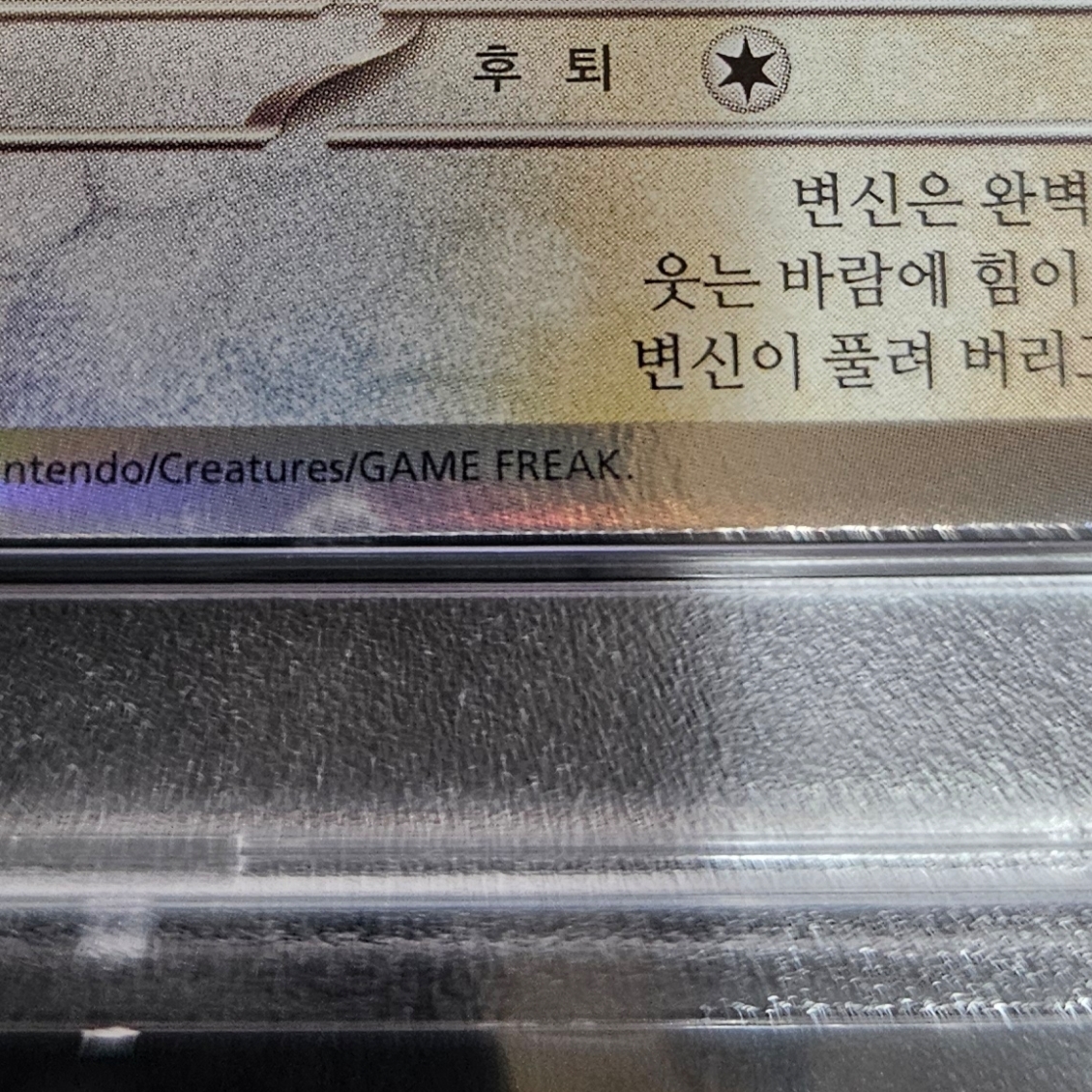 Pokemon TCG Ditto's Time Capsule Promo Card Ditto 착용 스타일