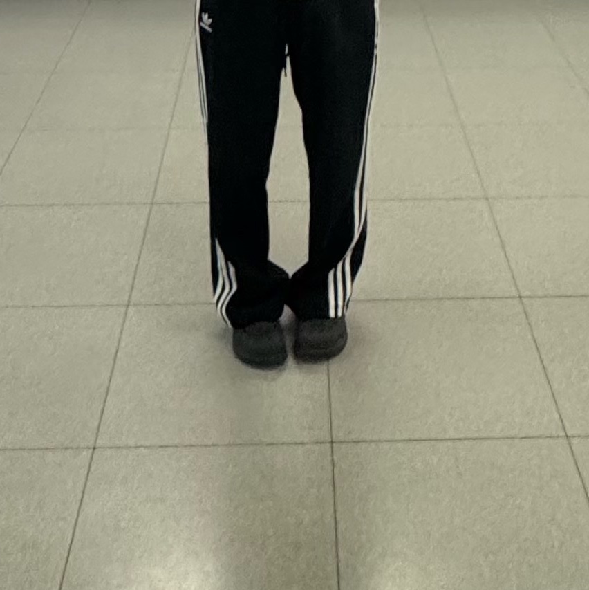 Adidas Adicolor Baggy Fit Firebird Track Pants Black - KR Sizing 착용 스타일