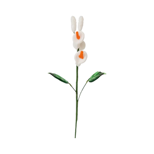 썸네일 6