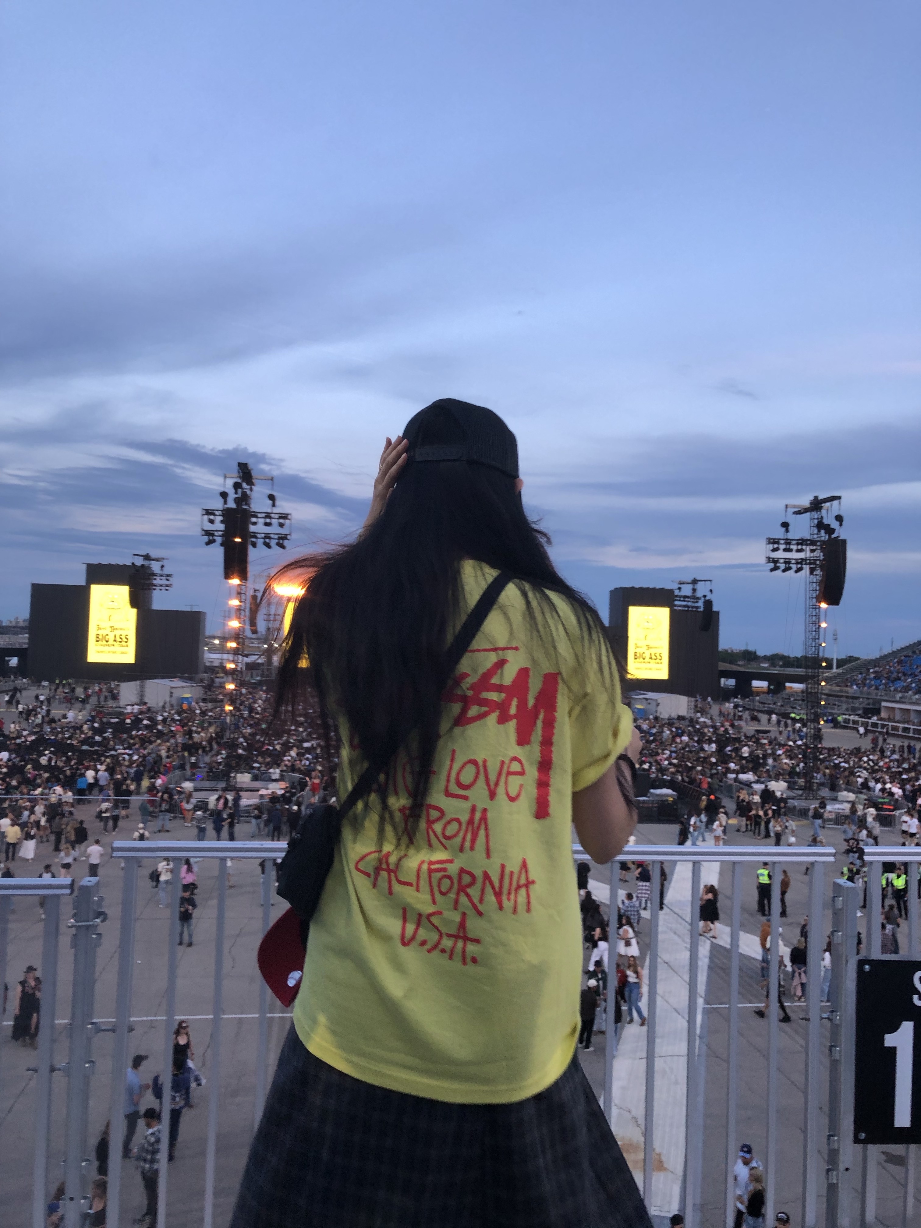 Stussy Big Love T-Shirt Lemon 착용 스타일