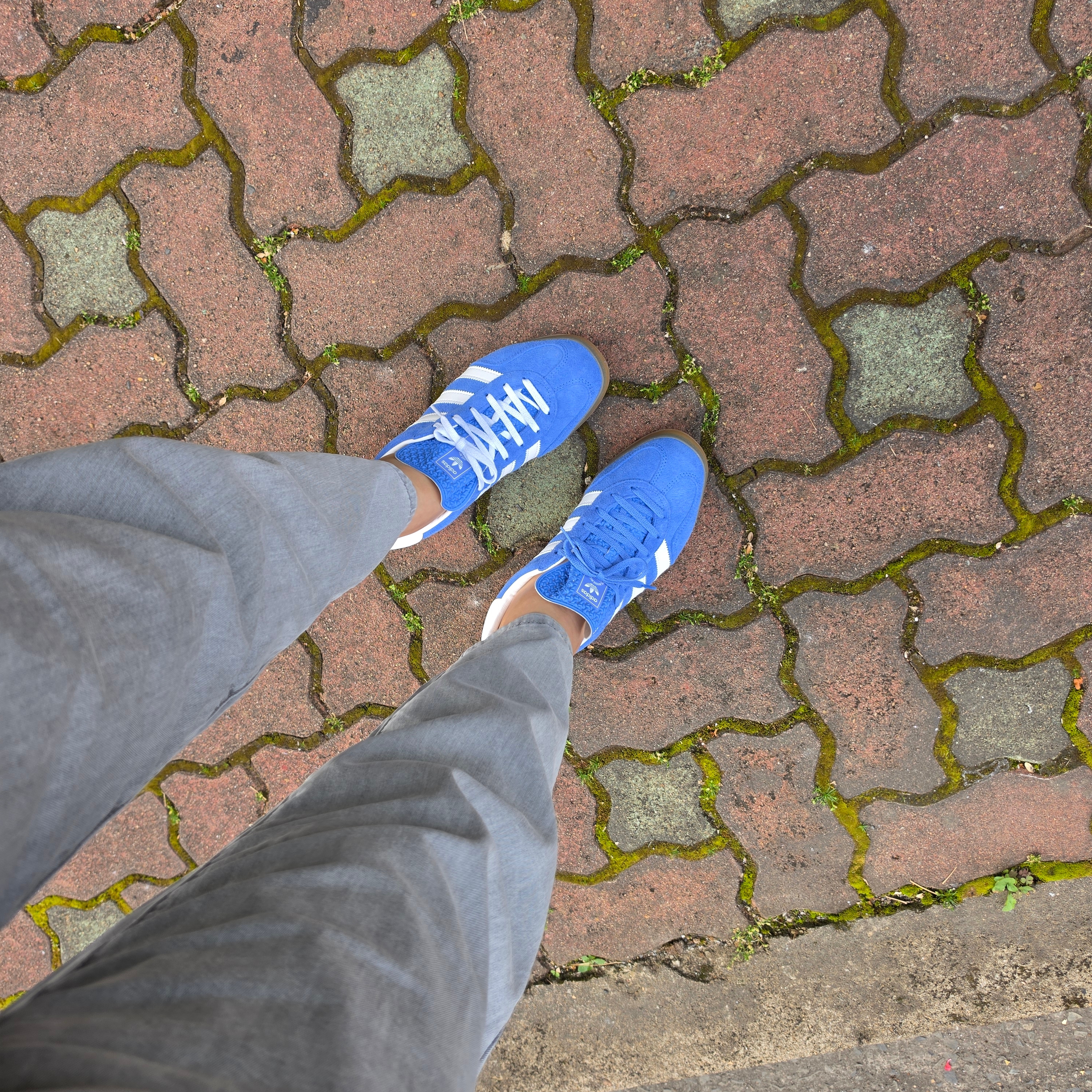 (W) Adidas Gazelle Indoor Blue Fusion Cloud White 착용 스타일 - 2