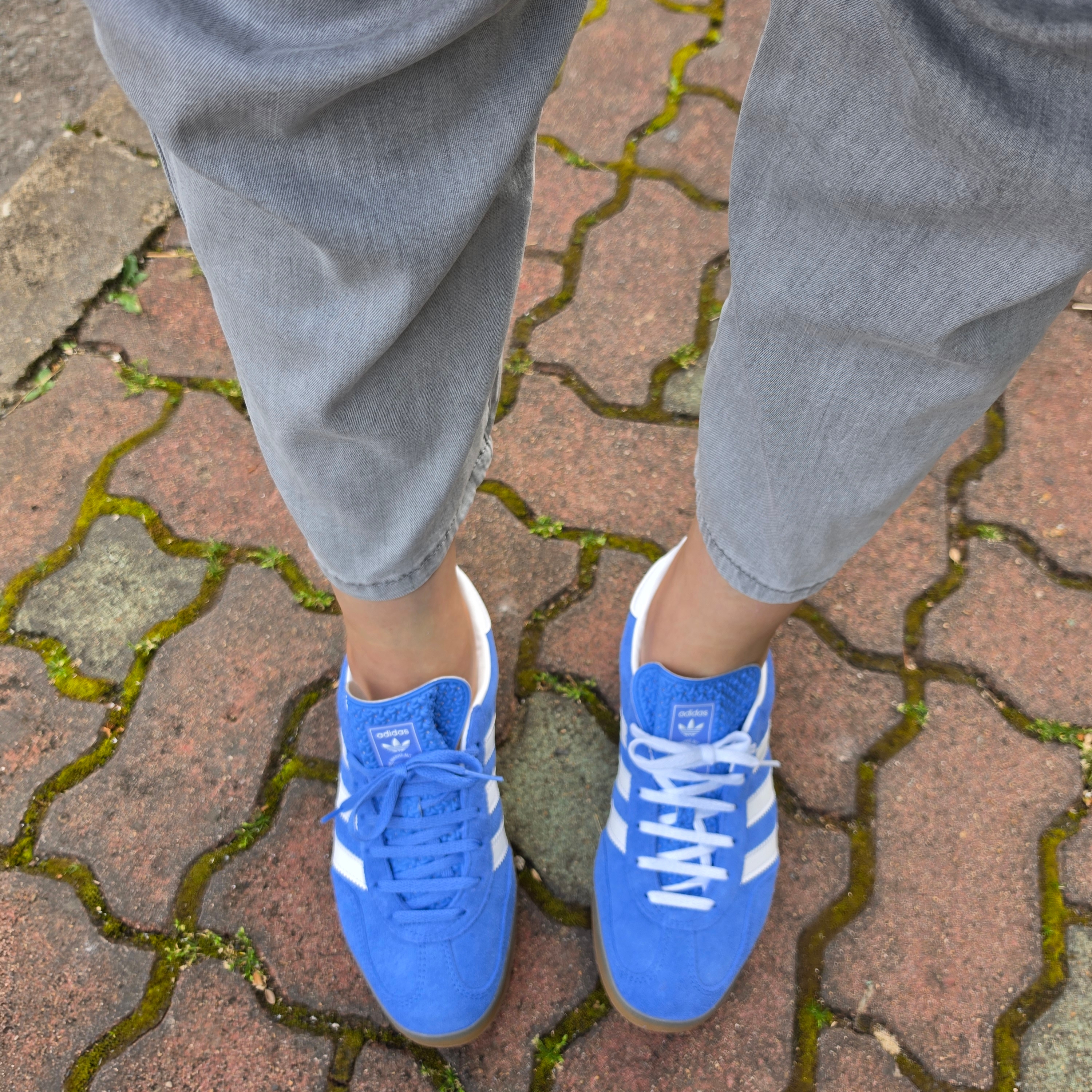(W) Adidas Gazelle Indoor Blue Fusion Cloud White 착용 스타일 - 3