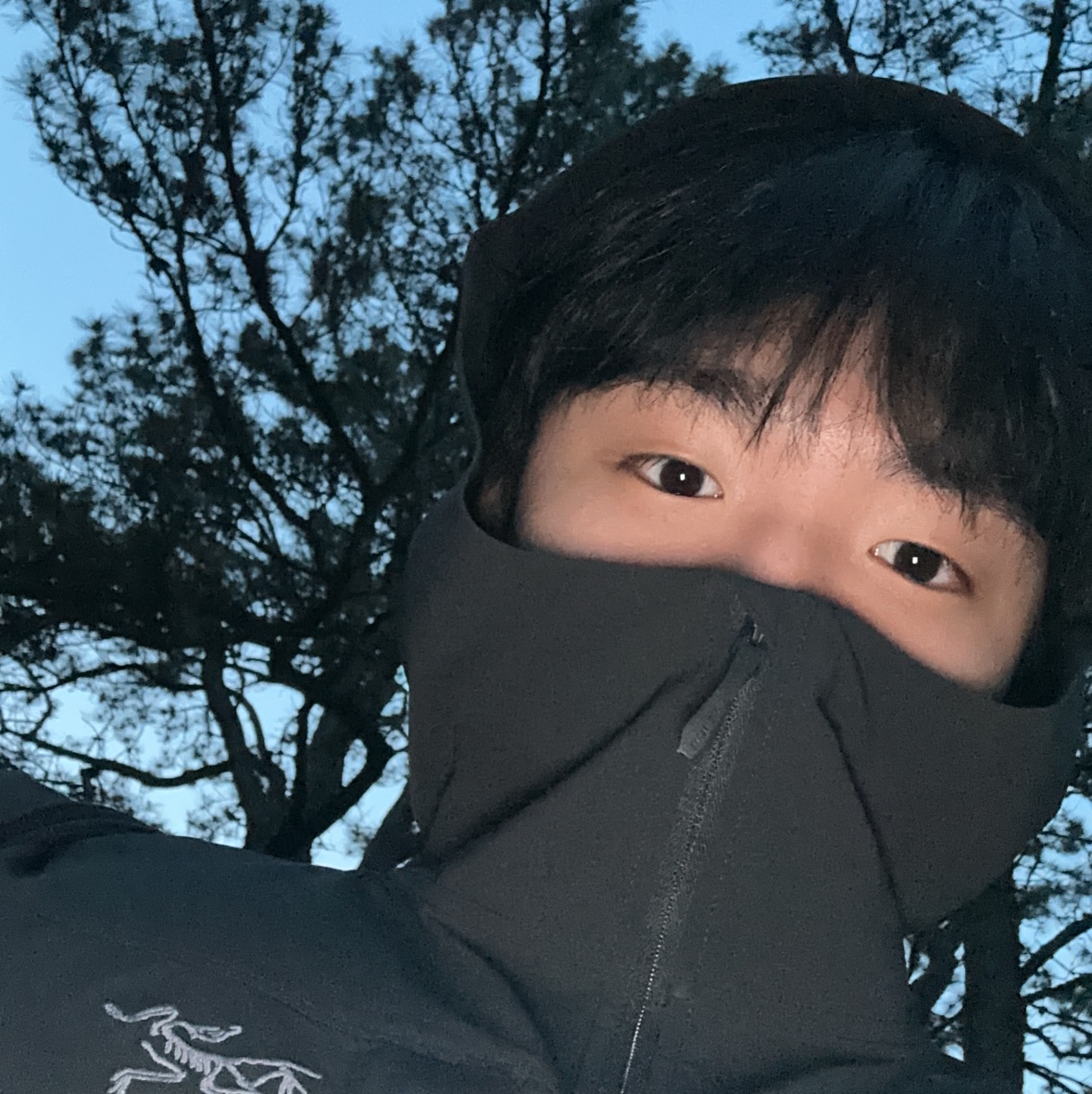 Arc'teryx Gamma Lightweight Hoody Black 착용 스타일