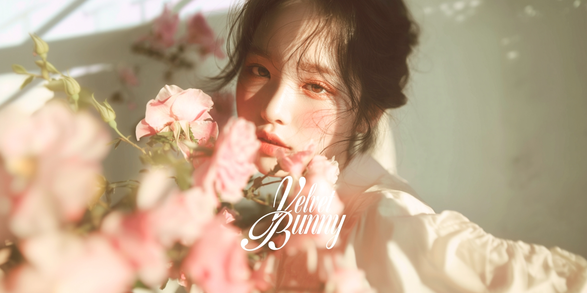 벨벳바니(VELVETBUNNY)